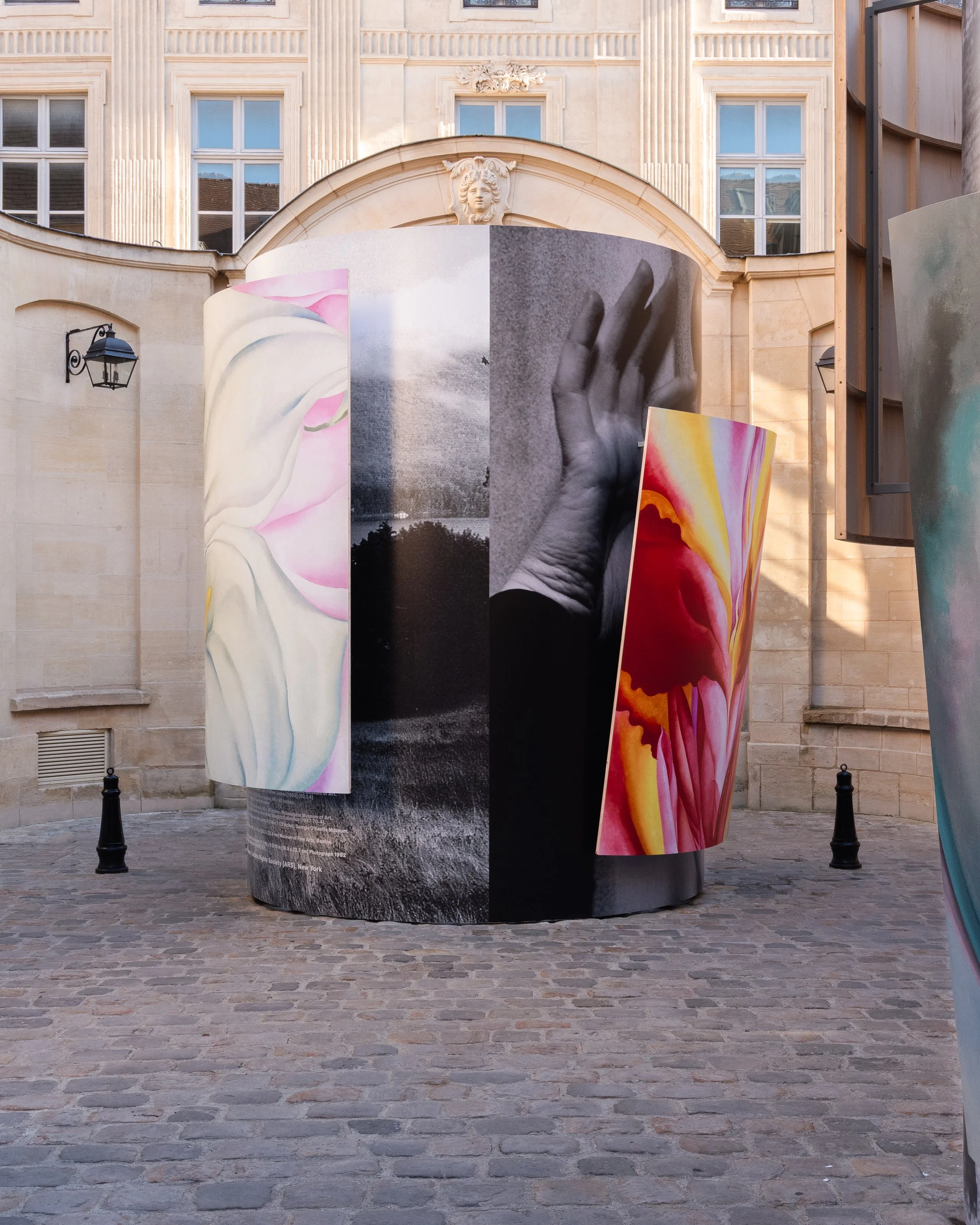 DSMP Georgia OKeeffe Installation_September 2025-27.JPG