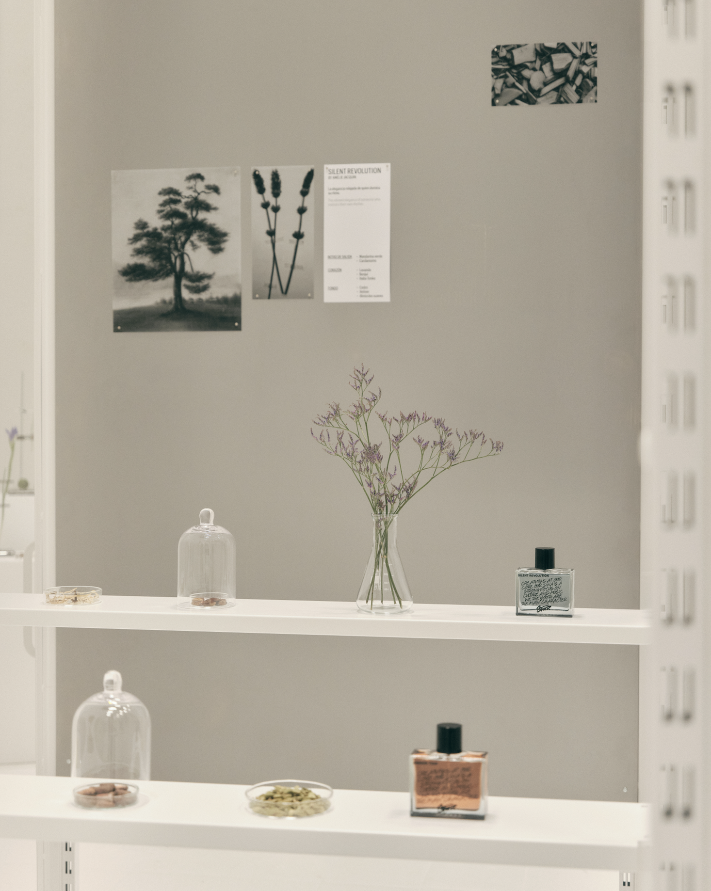 Screenshot 2025-11-21 at 18.07.46.png