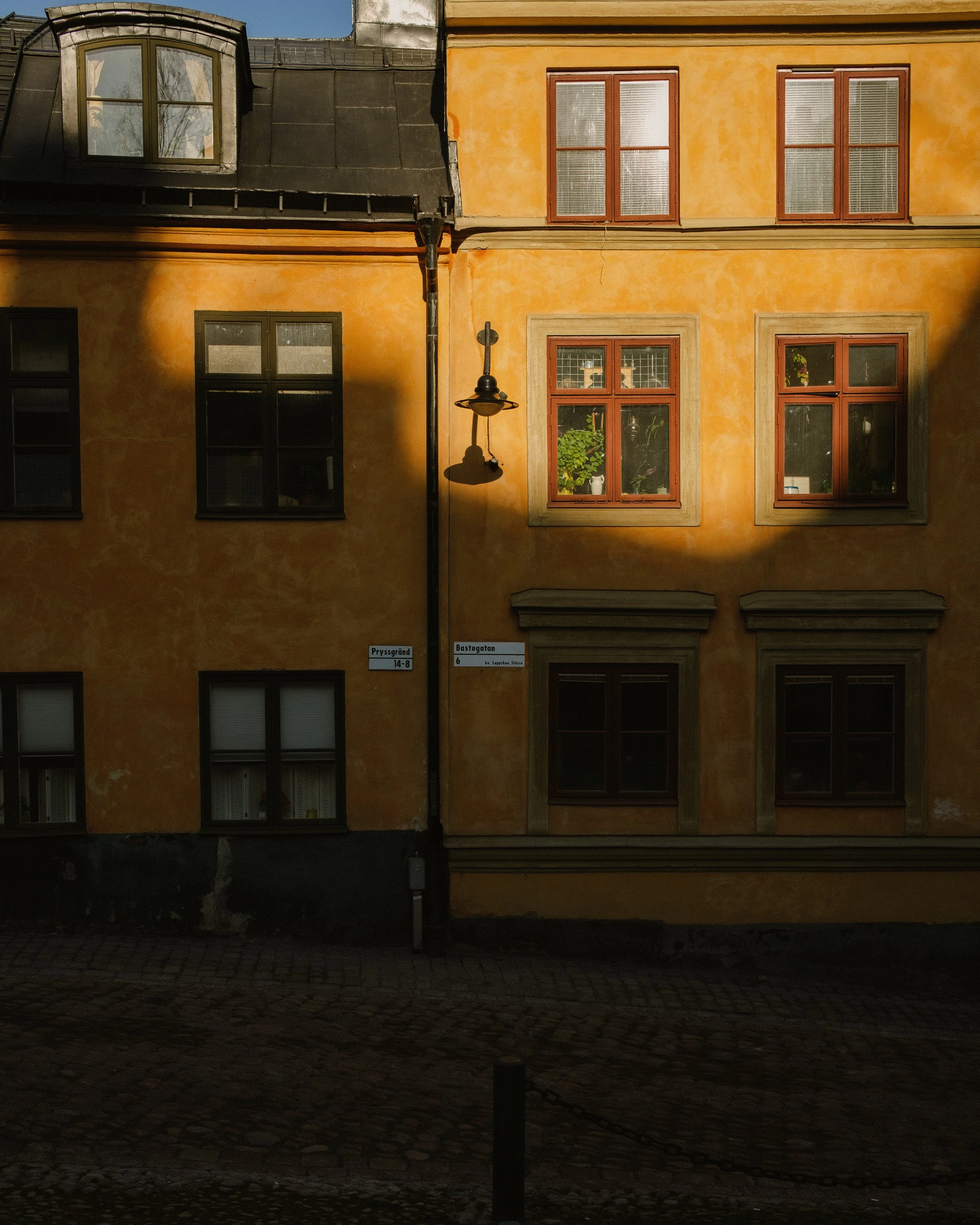 DSCF9627.jpg