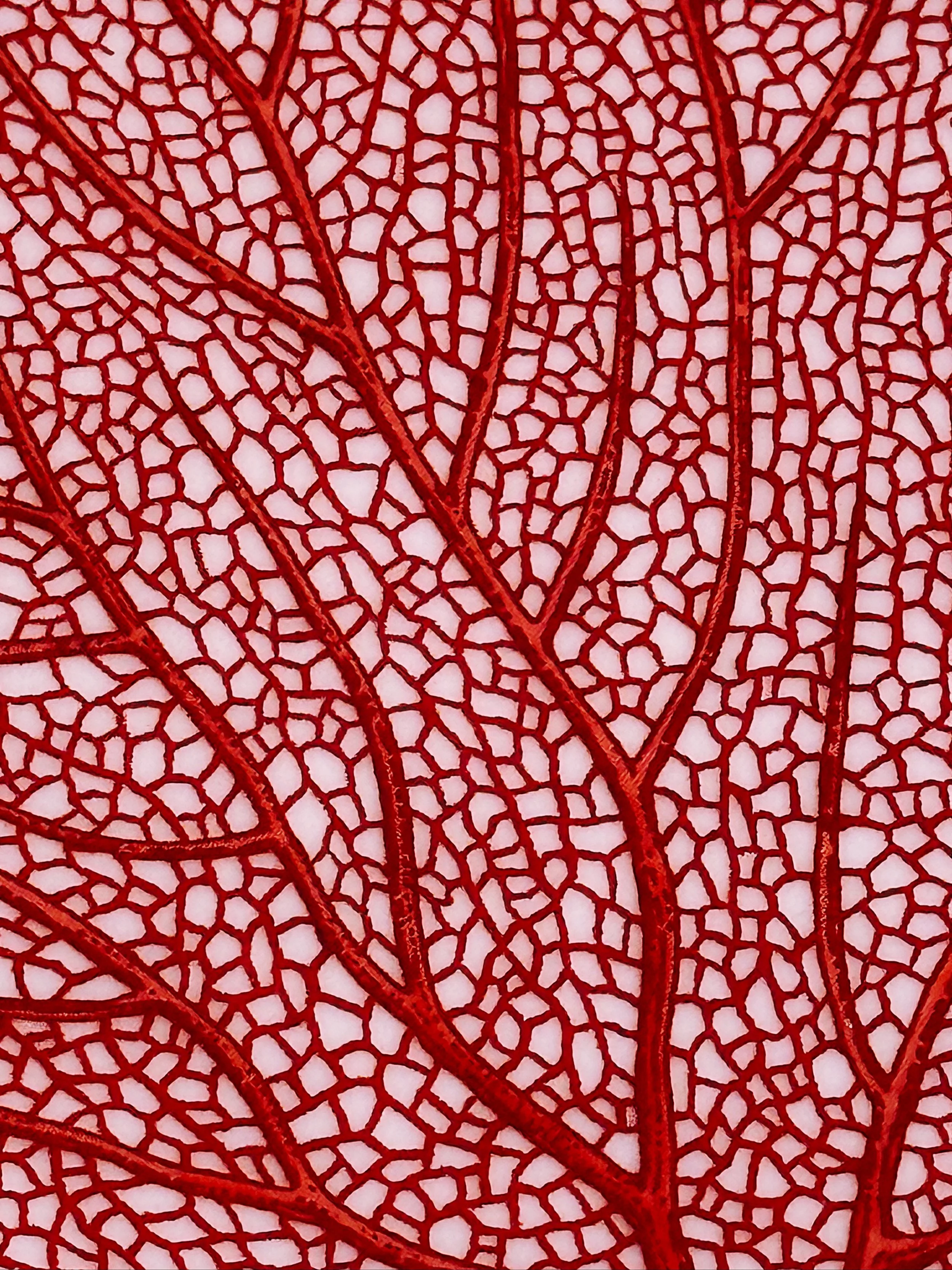 IMG_7011 1 Edited.JPG