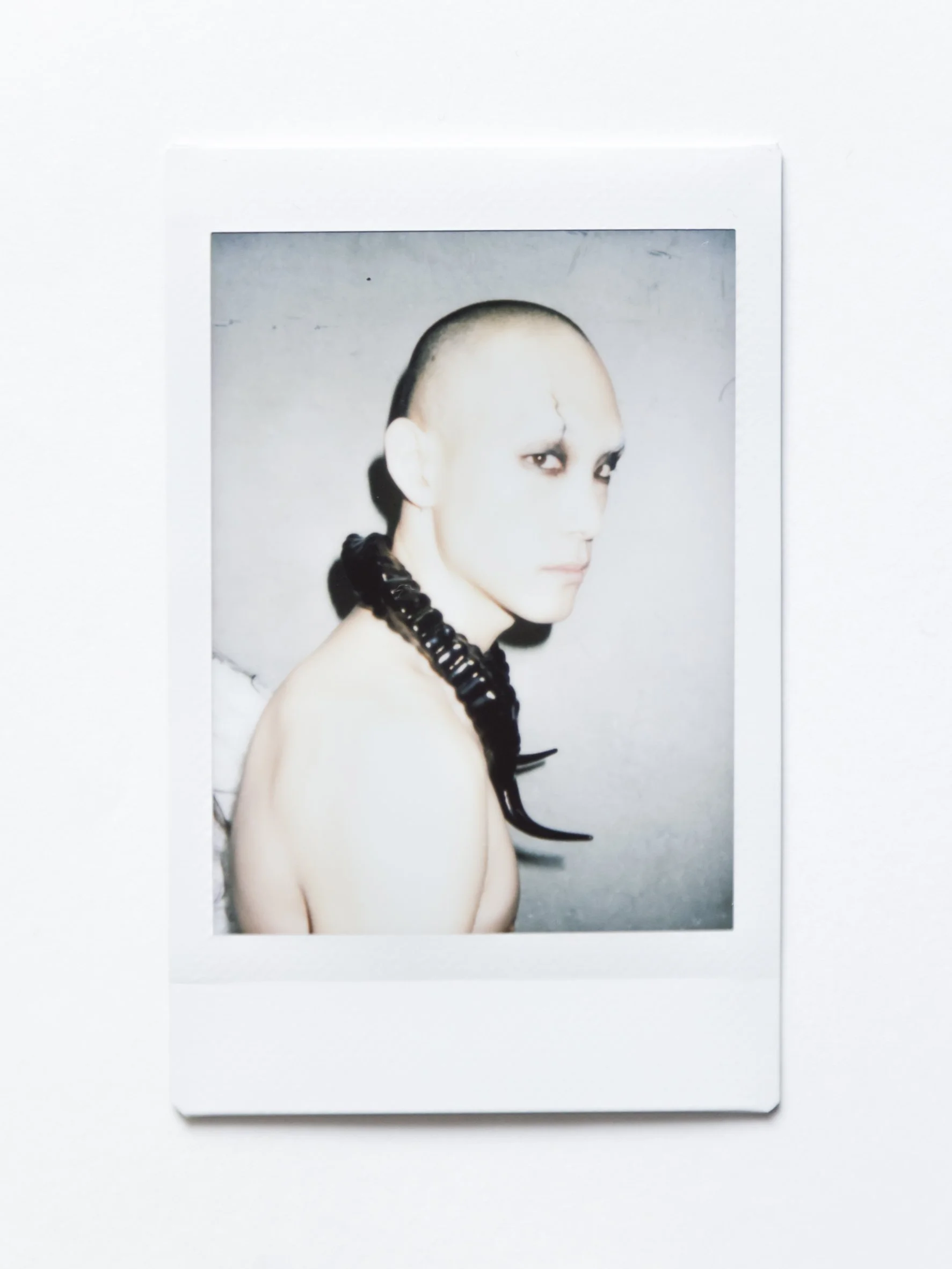 @zupanov-BFW jan 2026-TH-POLAROIDS-5.jpg