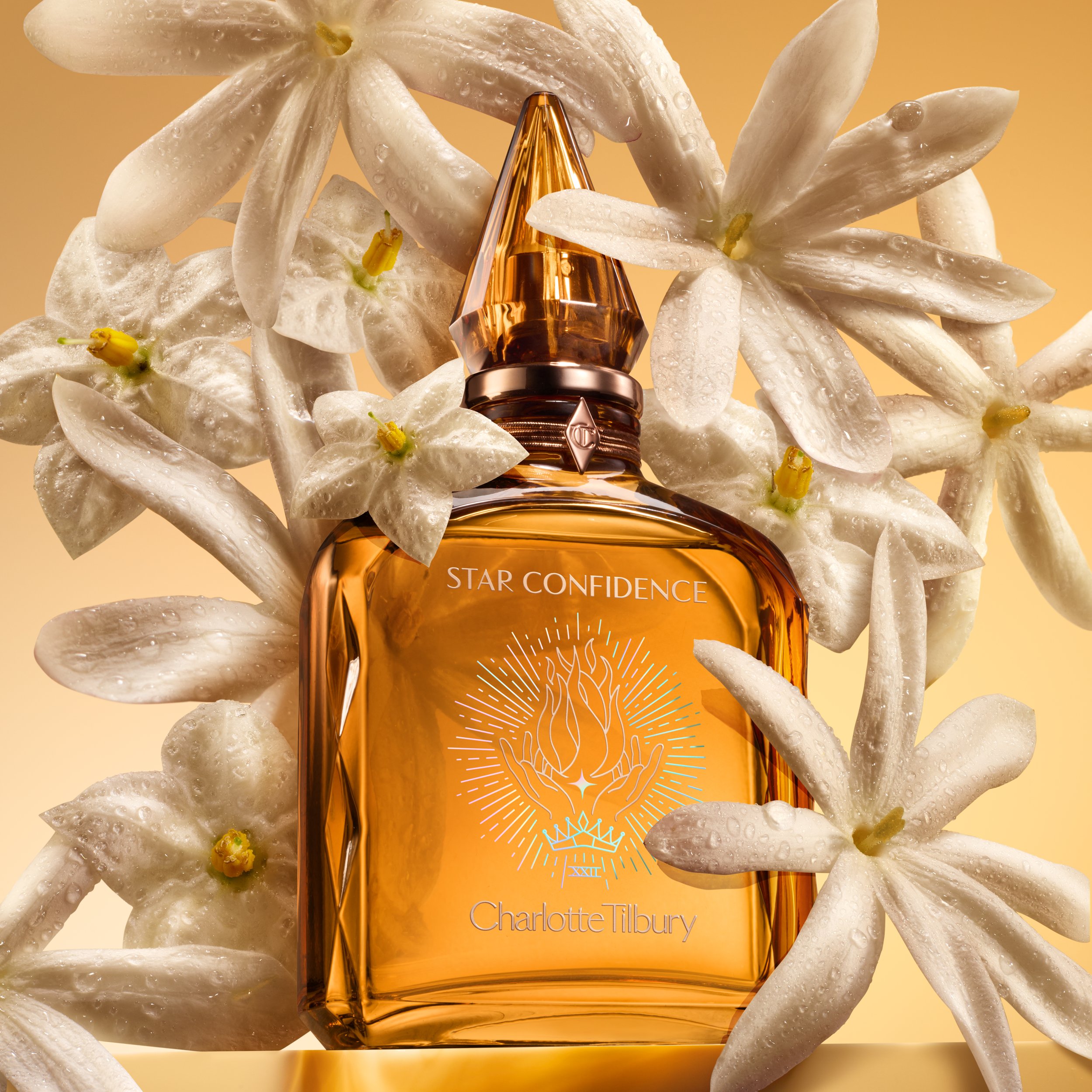 Star_Confidence_Creative_Still_Complex_Ingredients (1).jpg