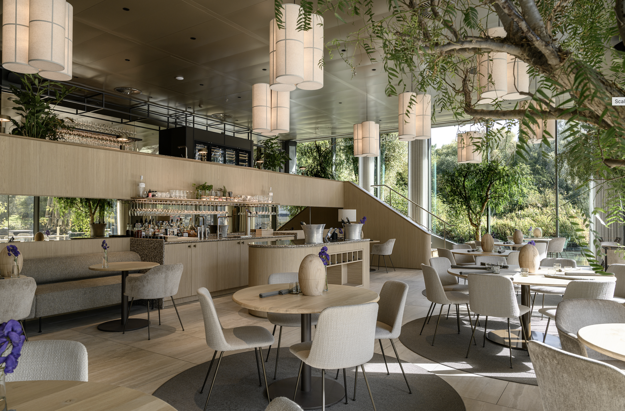 THE FUTURE OF DUTCH CUISINE IS HERE: BOLENIUS AMSTERDAM IN REMBRANDTPARK