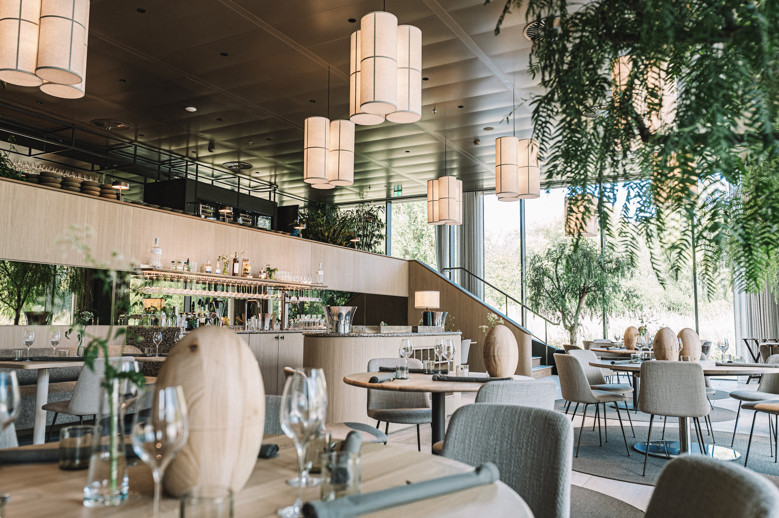 Screenshot 2026-02-13 at 11.37.13.png