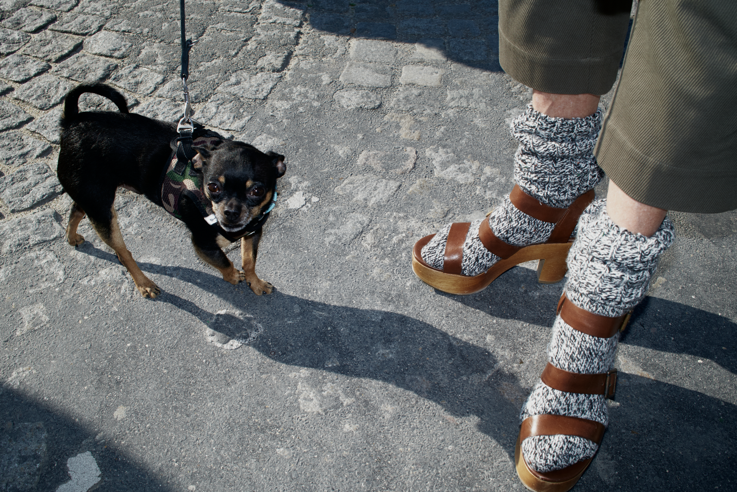 Screenshot 2026-03-04 at 15.32.13.png