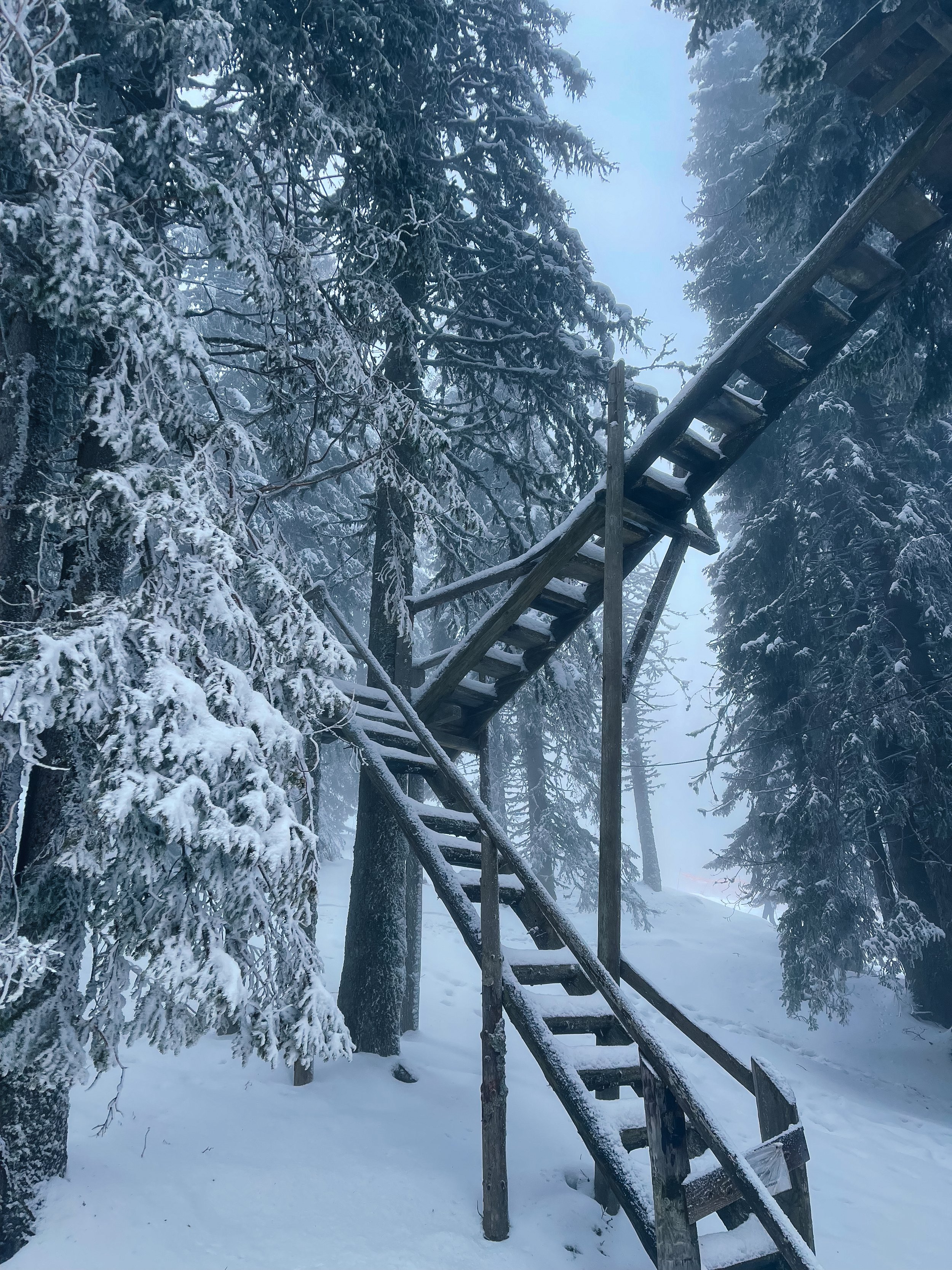 GORSKA SLUZBA(1).jpg