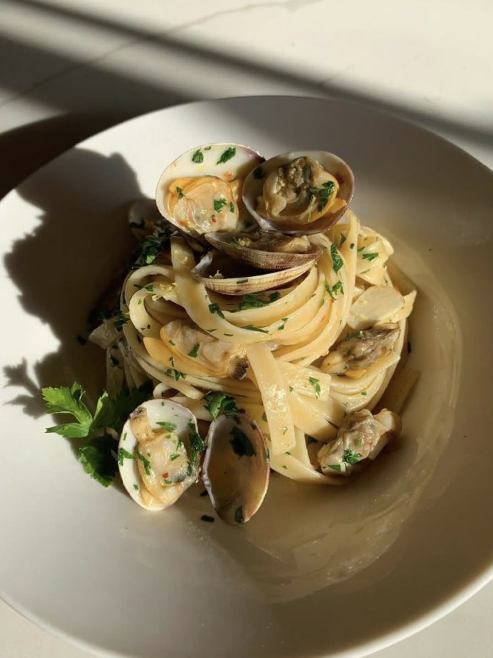 Screenshot 2026-04-17 at 10.49.00 AM.png