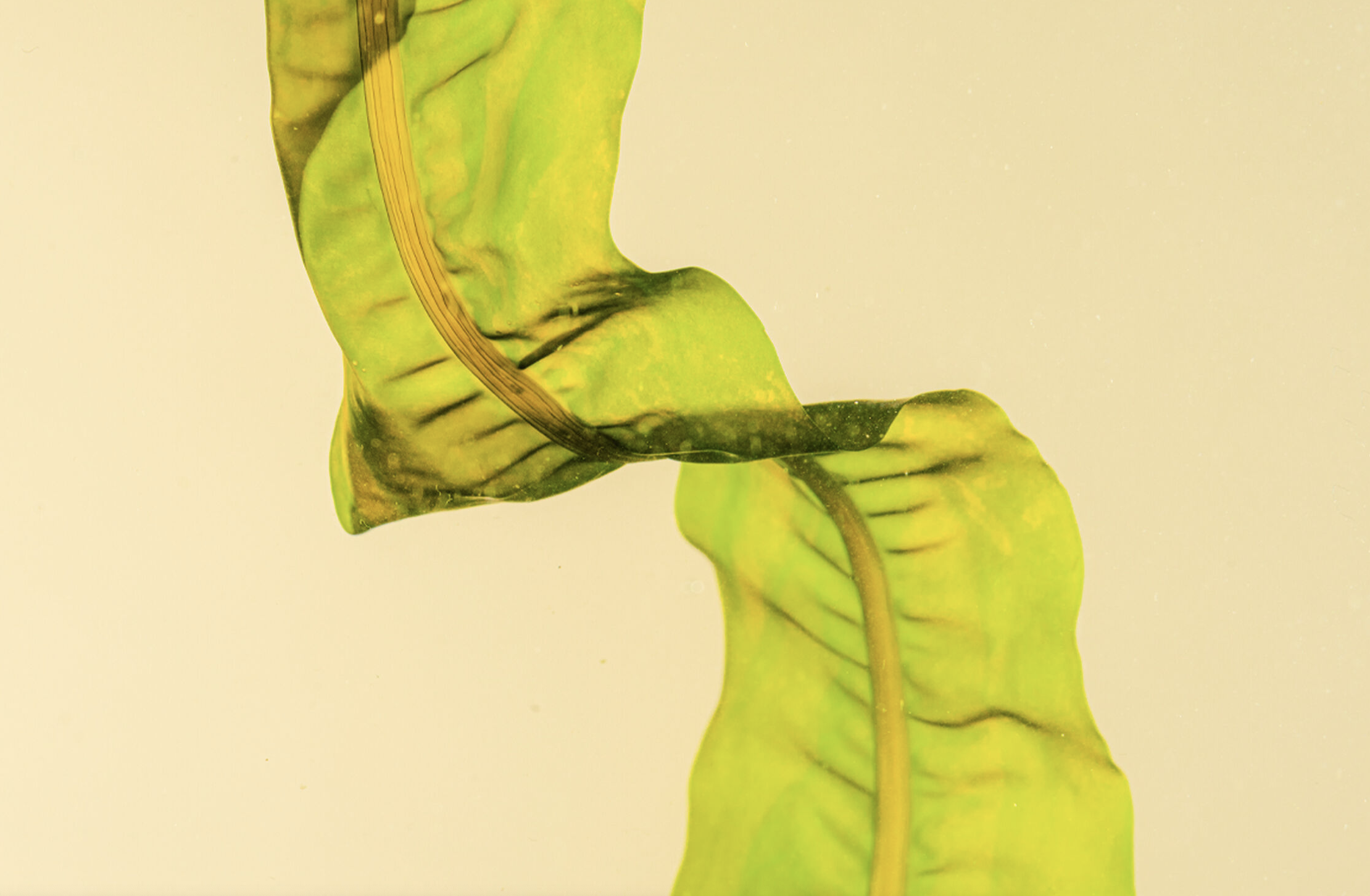 Screenshot 2026-04-21 at 16.33.24.png