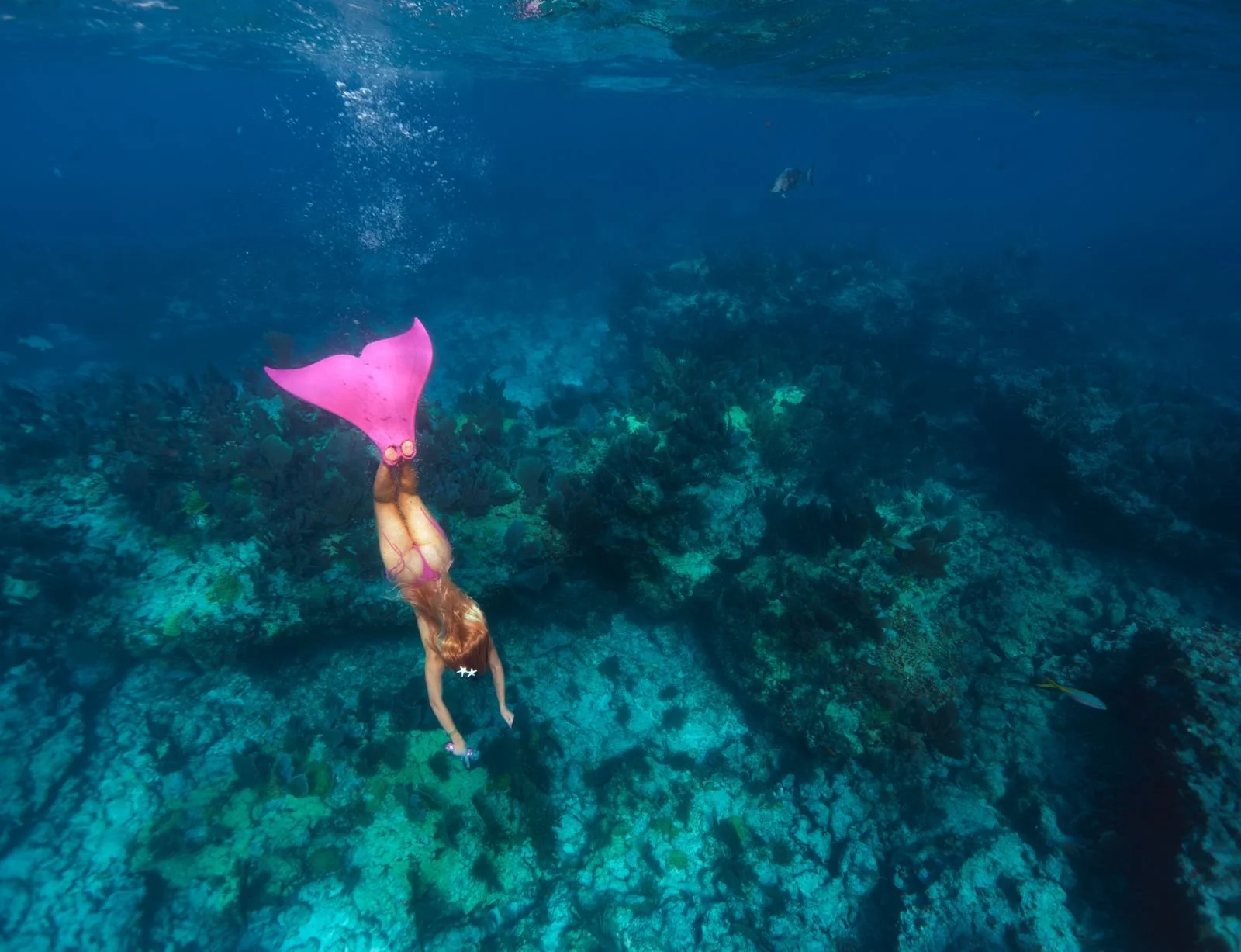 WhatsApp Image 2026-04-22 at 11.00.10.jpeg