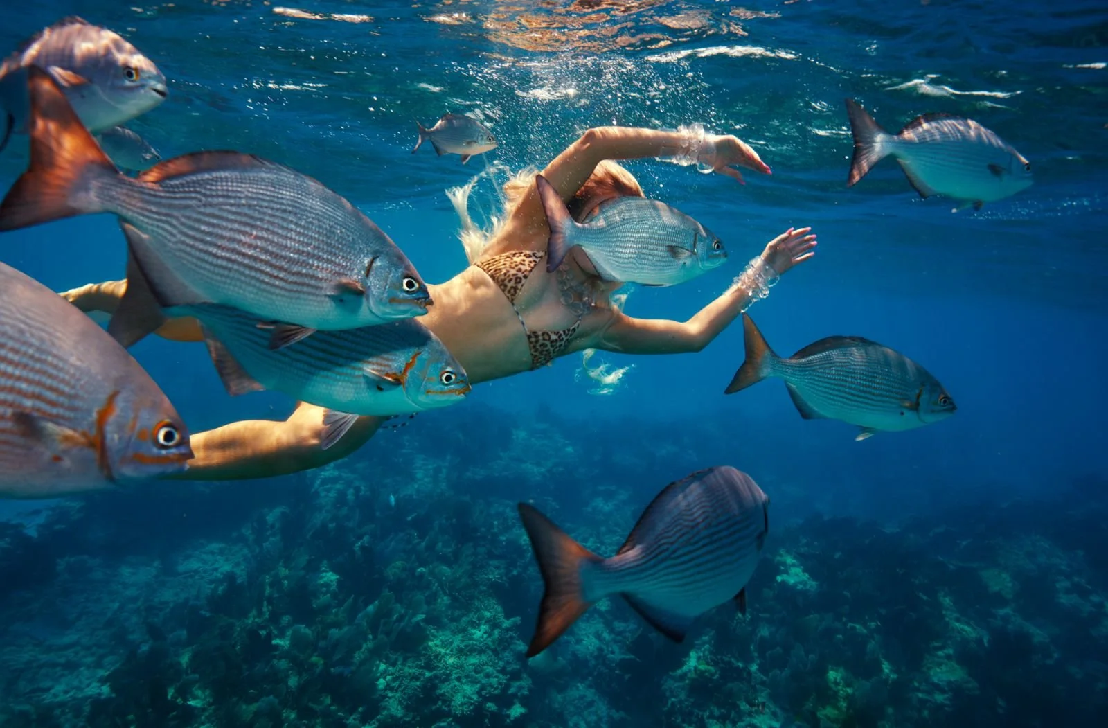 WhatsApp Image 2026-04-22 at 11.00.29 (2).jpeg