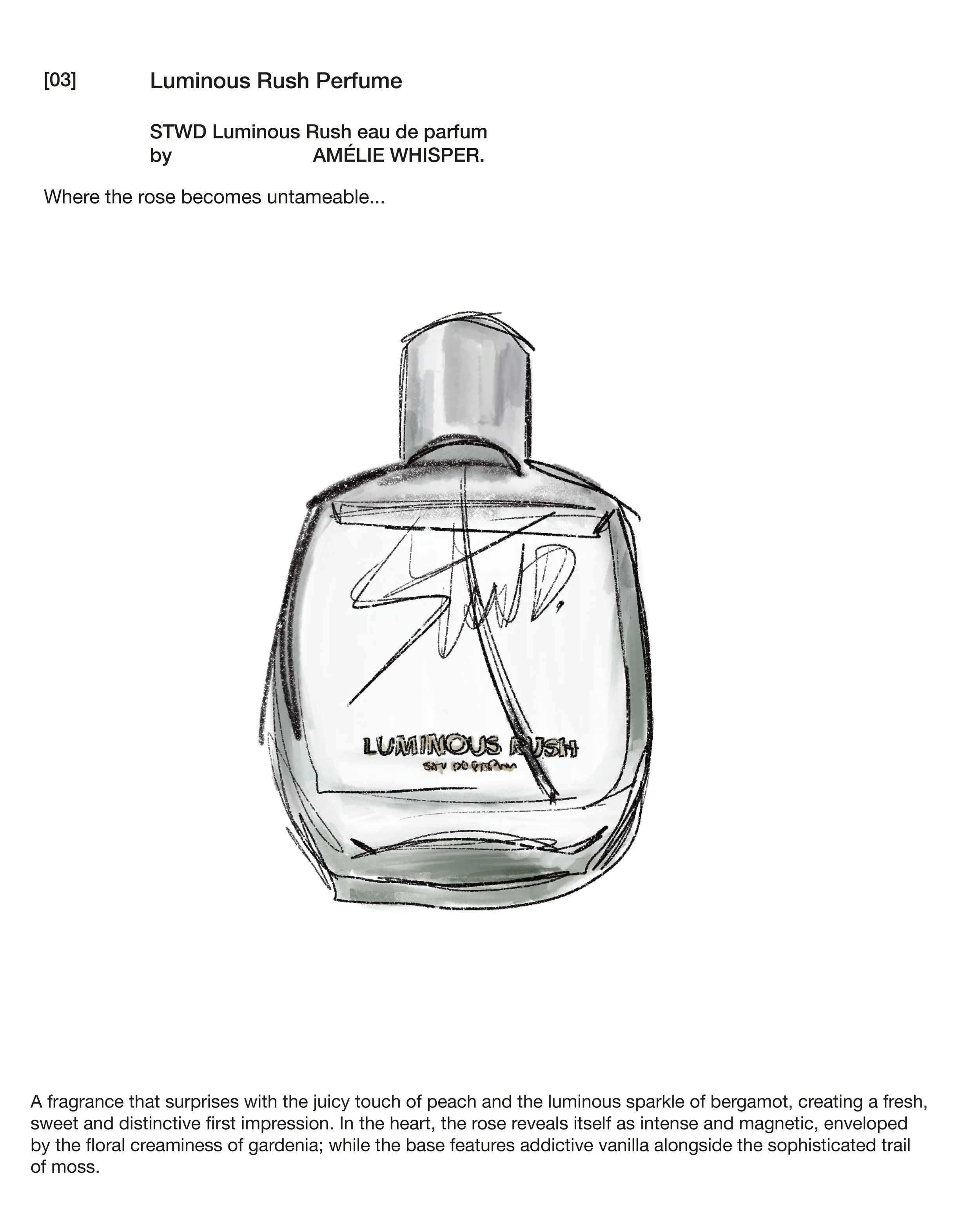 PERFUMES_Mesa de trabajo 1 copia 2.jpg