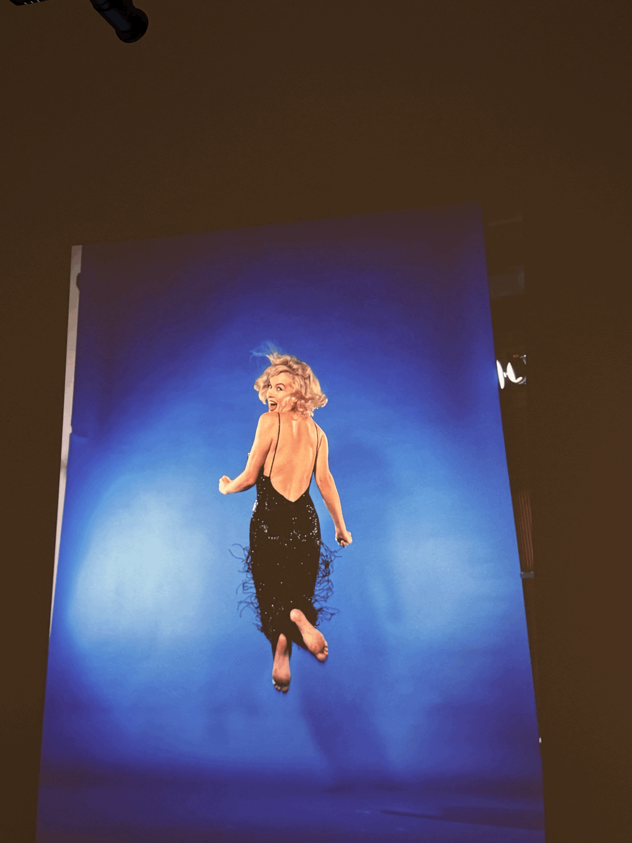 ‘MARILYN MONROE: A PORTRAIT’ EXHIBIT OFFERS NEW PERSPECTIVES ON 20TH CENTURY HOLLYWOOD LEGEND