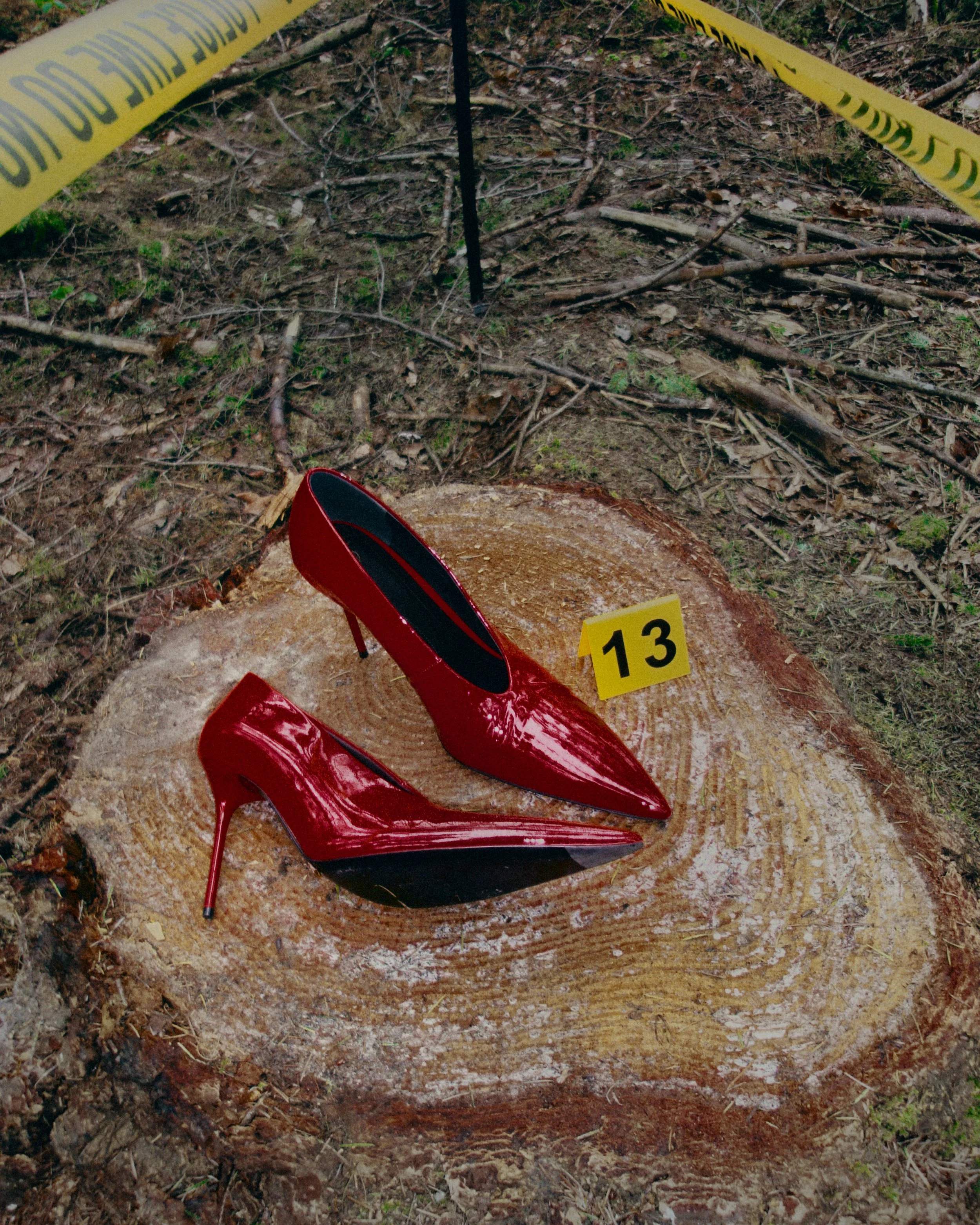 Dendro_006.jpg