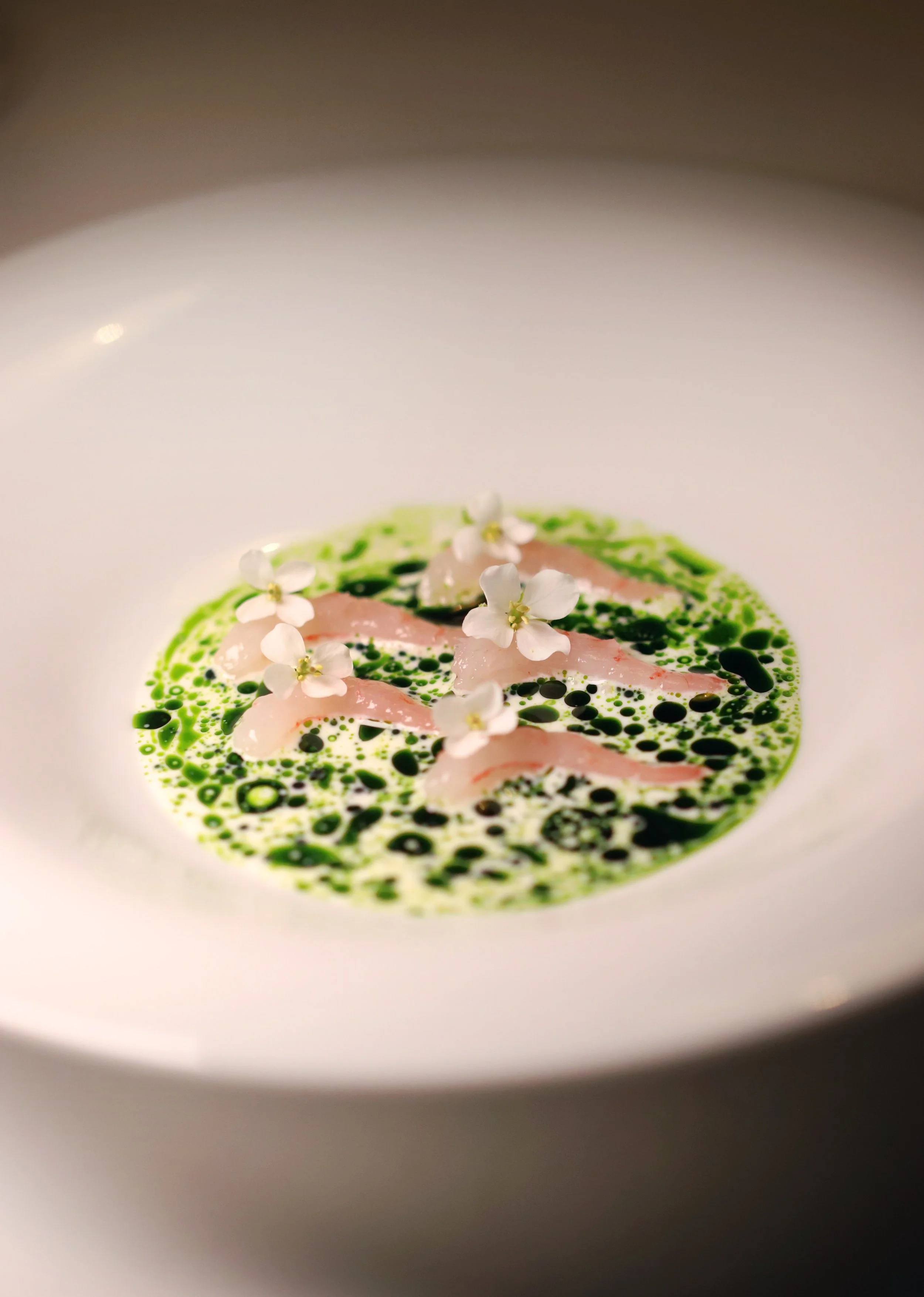 6. Raw shrimps, wasabi, dill. Option 2.jpg