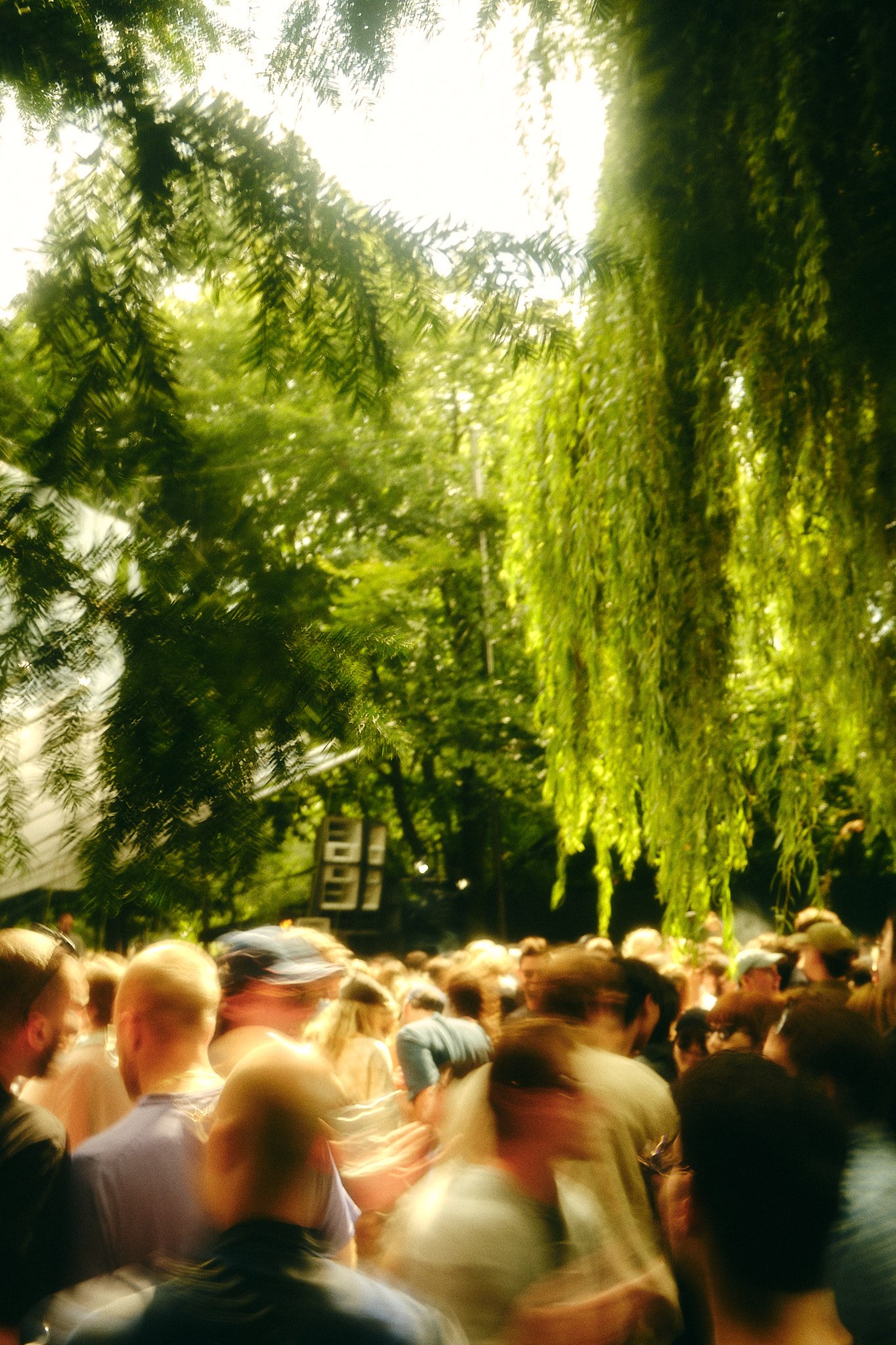 DMF25-Friday-Atmosphere-HannahBruijnzeel 3.jpg