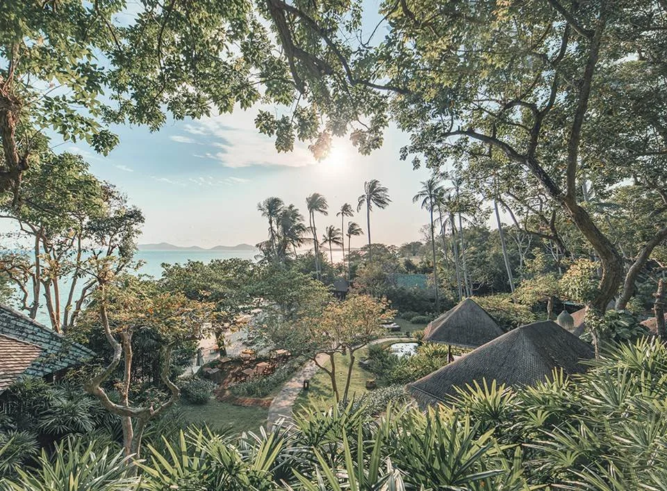 GUT IS THE NEW HOT TOPIC AT  KAMALAYA WELLNESS SANCTUARY