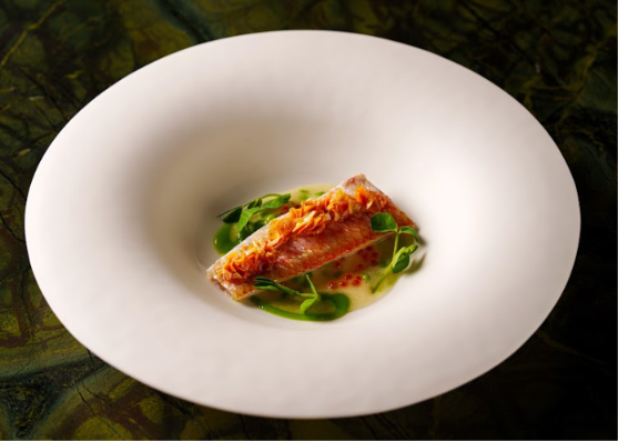 T5050BR26-AOH-Tuju-Dish-1.png