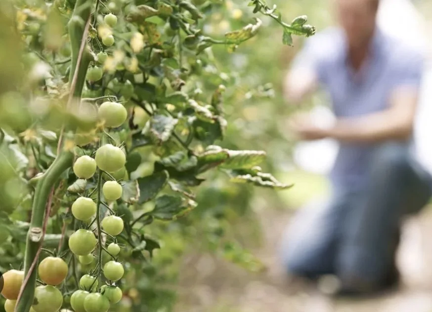 Image 25-6-2025 at 4.02 pm.jpeg