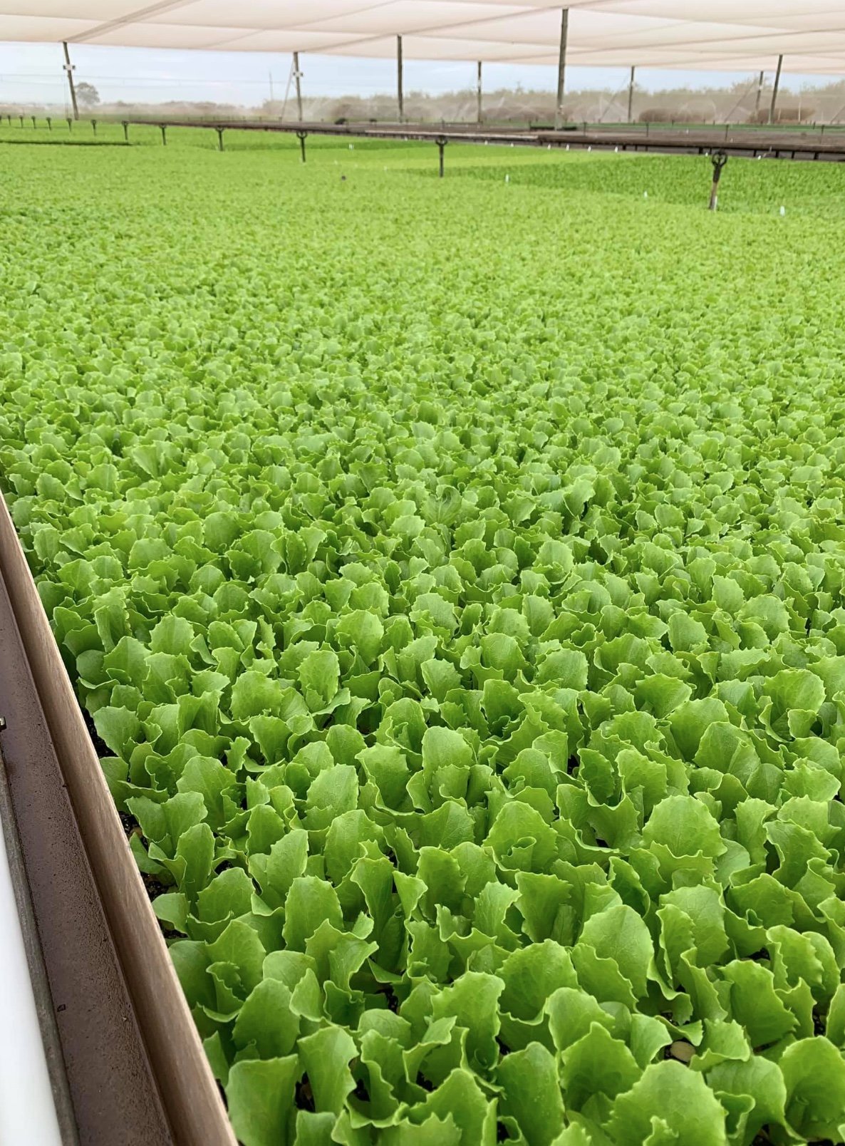 Image 30-4-2025 at 12.28 PM.jpeg