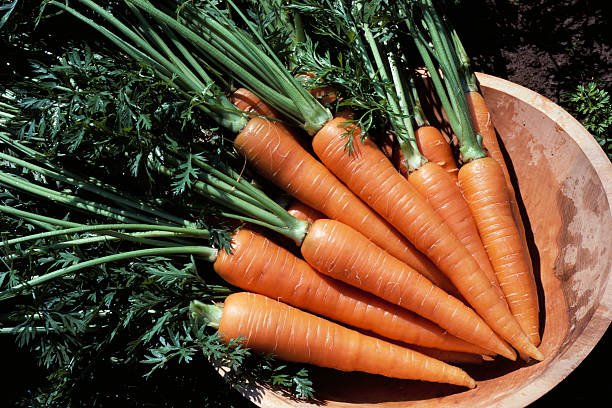 🥕 Veggie Fact Friday: Carrots! 🥕

Carrots aren't just crunchy and sweet &ndash; they're superfoods we should be eating every day! 💪 Packed with Vitamin A (hello, healthy eyes 👀), fibre, antioxidants, and powerful phytonutrients like beta-carotene