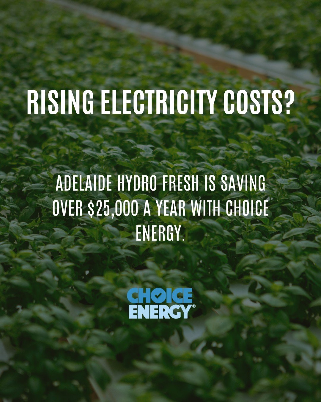 Adelaide Hydro Fresh, a local grower in Virginia on the Northern Adelaide Plains, worked with Choice Energy Pty Ltd  our newest strategic partner to help cut rising electricity costs across its operations.

When beginning to work on the assessment, C