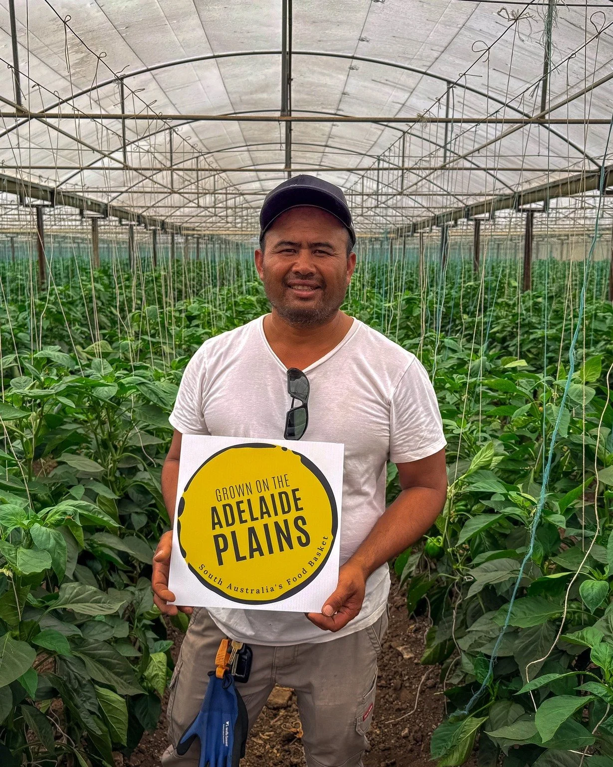 Grown on the Adelaide Plains

Meet Vyras from Nature Rite, an innovative family-owned business growing vegetables in Buckland Park since 1994. Specialising in blocky capsicums &ndash; green, yellow, and red &ndash; Nature Rite supplies both local and