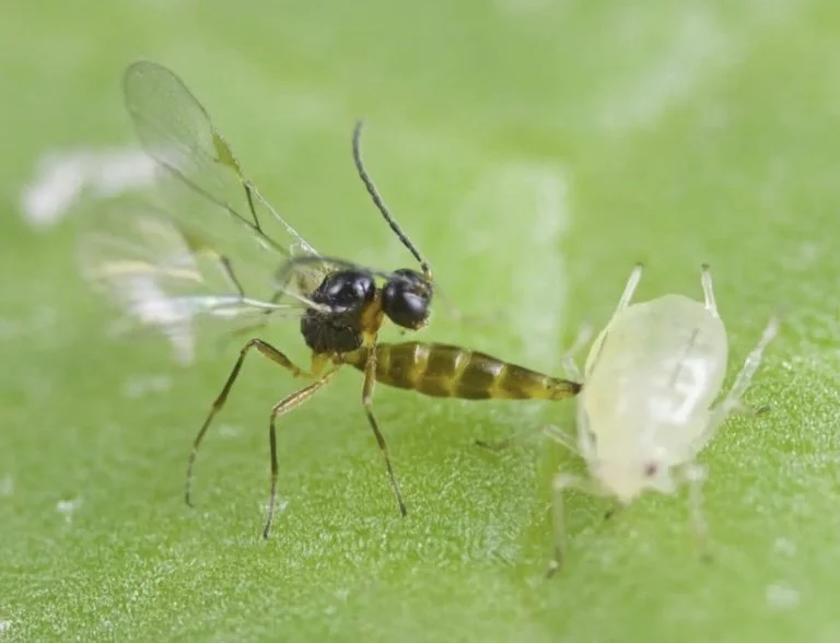 Image 25-6-2025 at 2.48 pm.jpeg