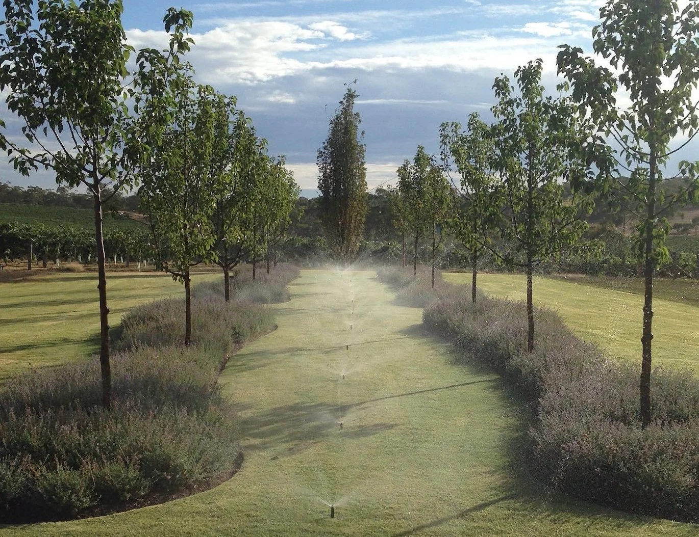 Image 30-4-2025 at 10.35 AM.jpeg