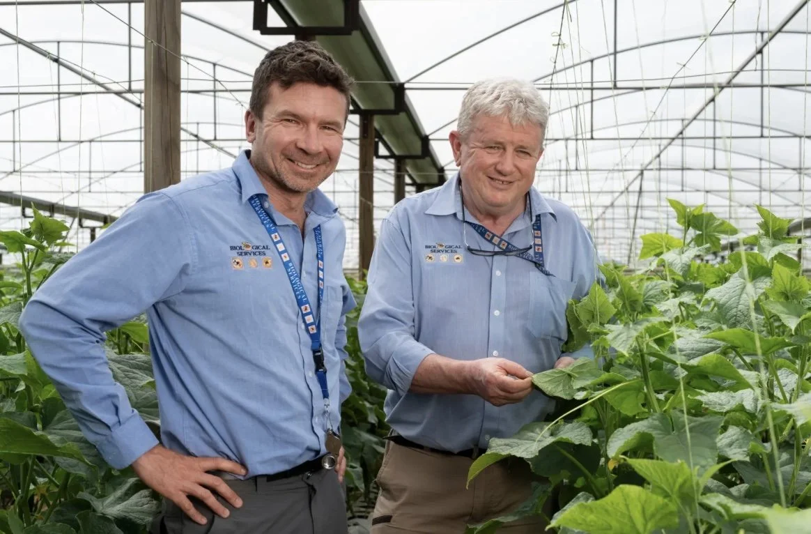 Image 25-6-2025 at 2.41 pm.jpeg