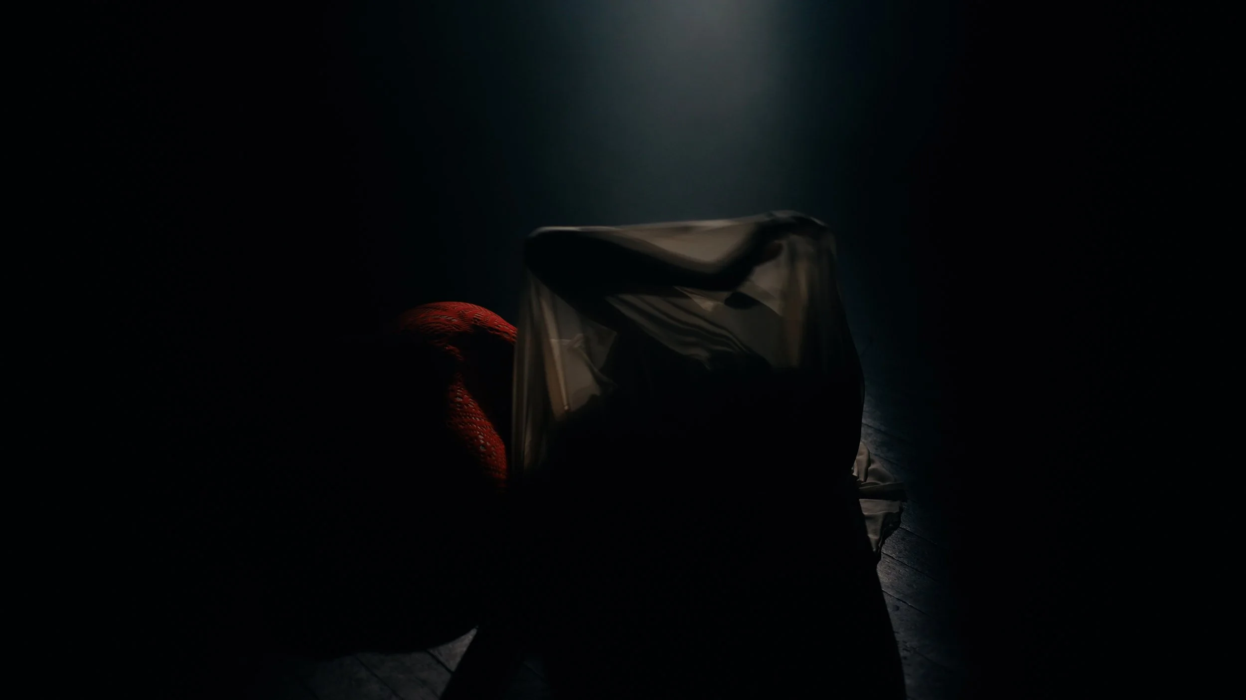 Butterfly_Video Still_011.jpg