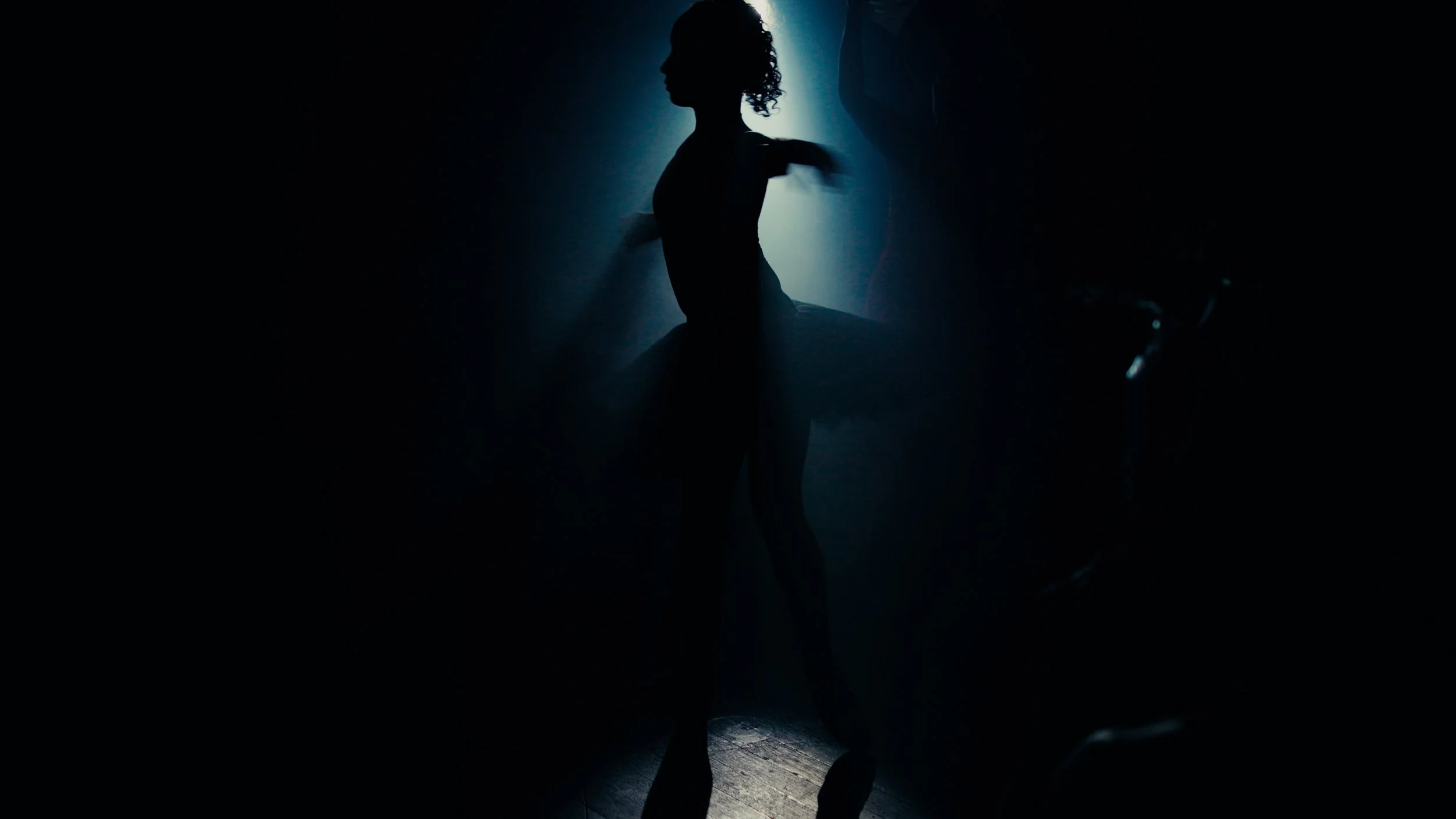 Butterfly_Video Still_008.jpg