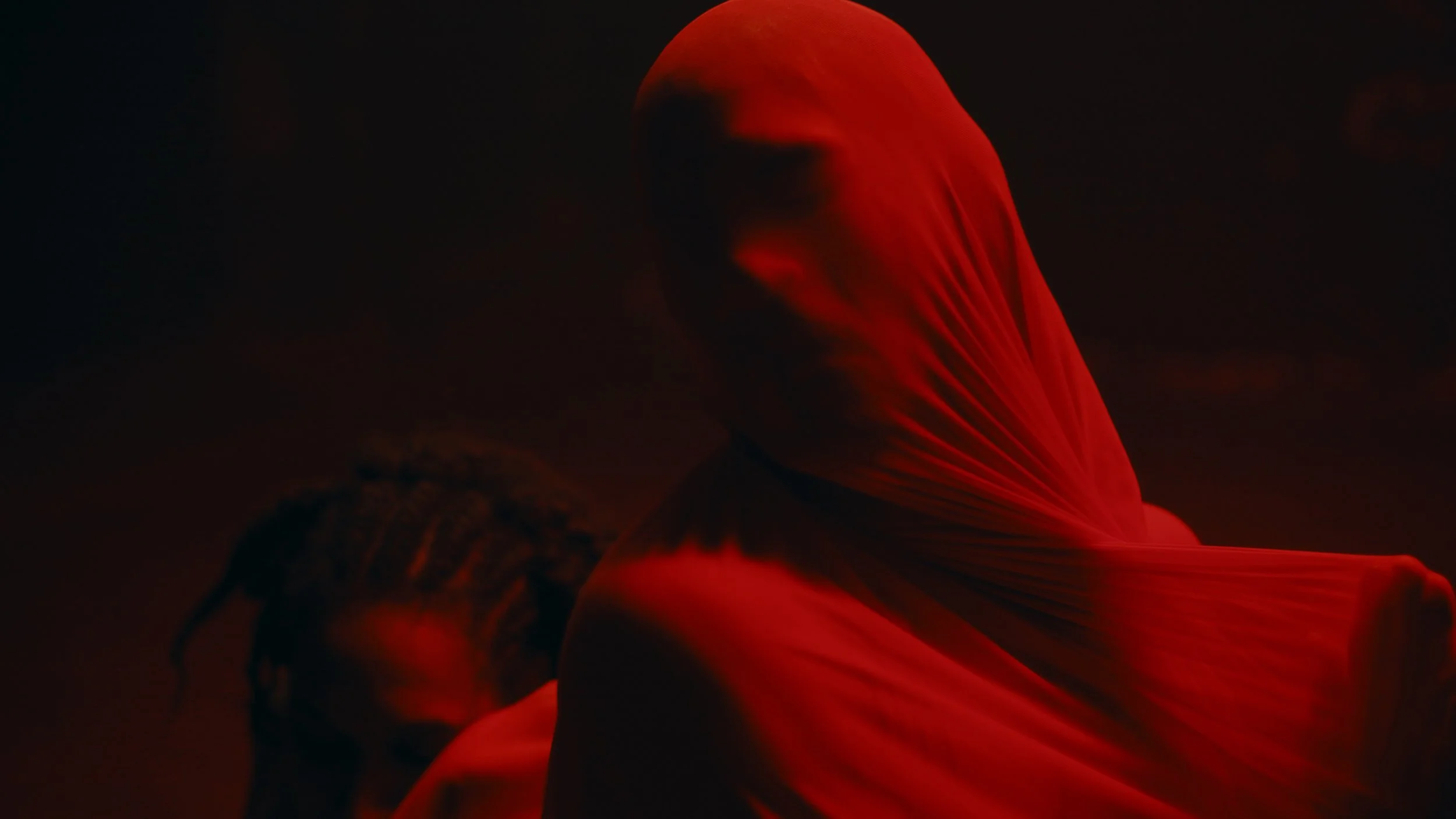 Butterfly_Video Still_004.jpg