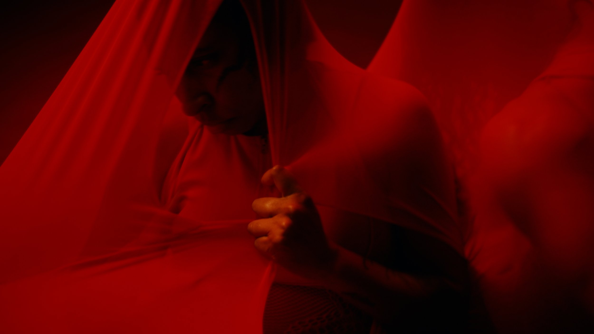 Butterfly_Video Still_002.jpg