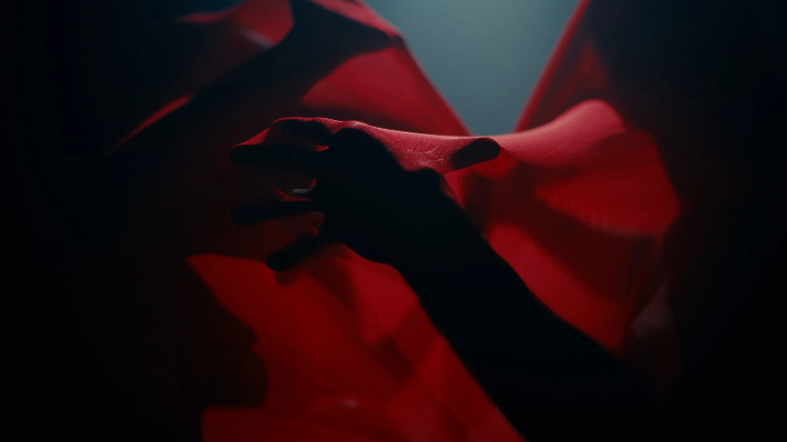 Butterfly_Video Still_016.jpg