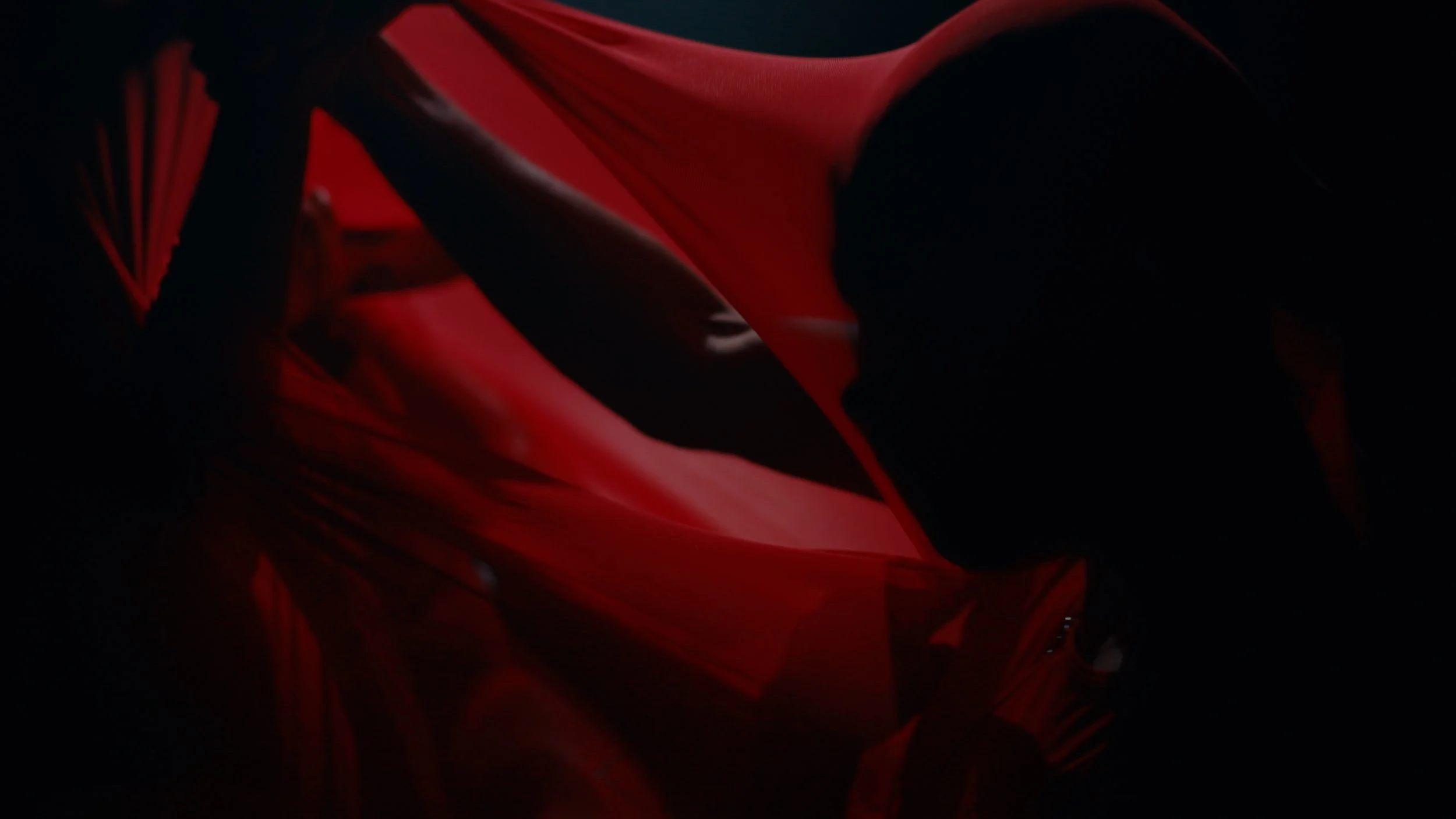 Butterfly_Video Still_017.jpg