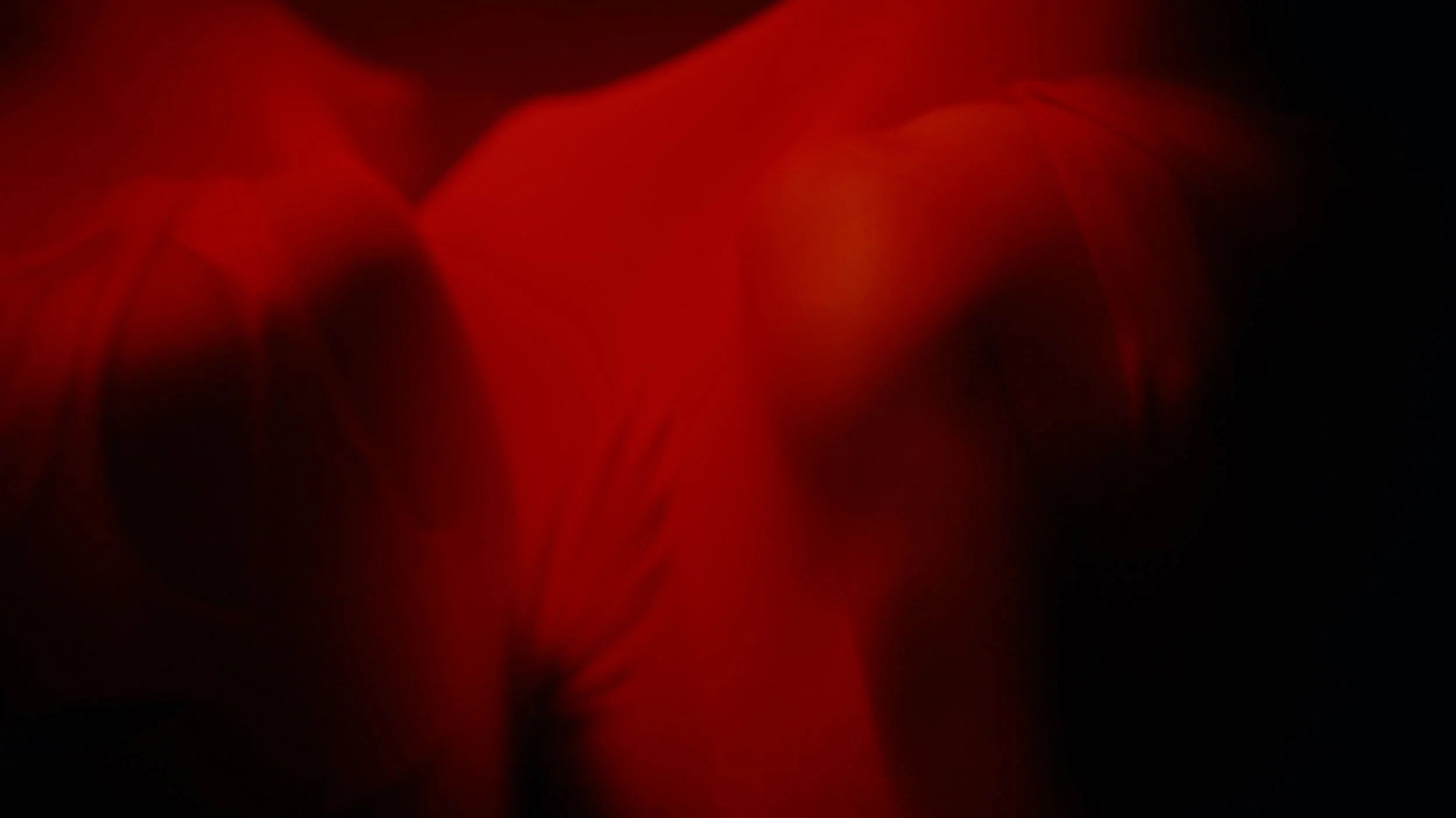 Butterfly_Video Still_005.jpg