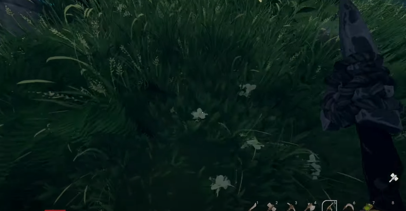 How to Get Worms in Aloft: Simple Guide