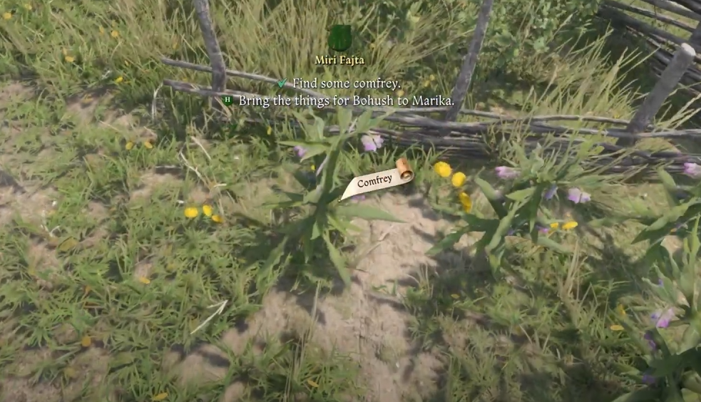 Where to Find Comfrey in KCD2 | Kingdom Come: Deliverance 2 Guide