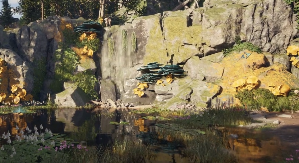 How to Toss Watcher Coin in Pond | Avowed Untimely End Quest Guide
