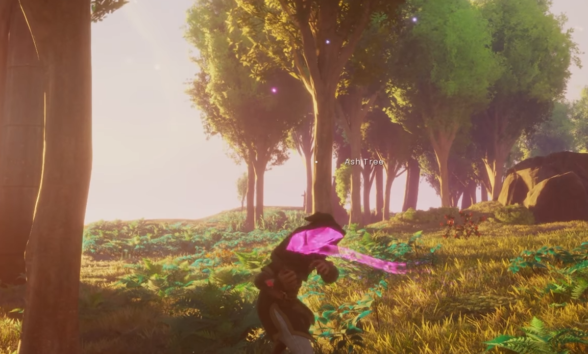 How to Fix Blurry Graphics in RuneScape: Dragonwilds