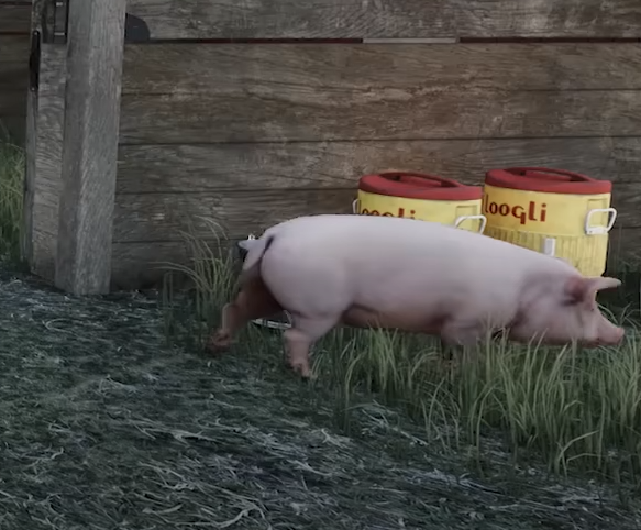 Ranch Simulator Breeding Pigs Guide | How to Breed Pigs