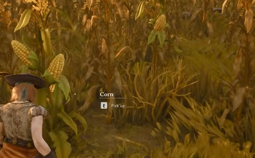 Windrose: Where To Find Corn