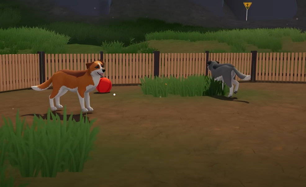 Outbound: How to Get A Dog Guide