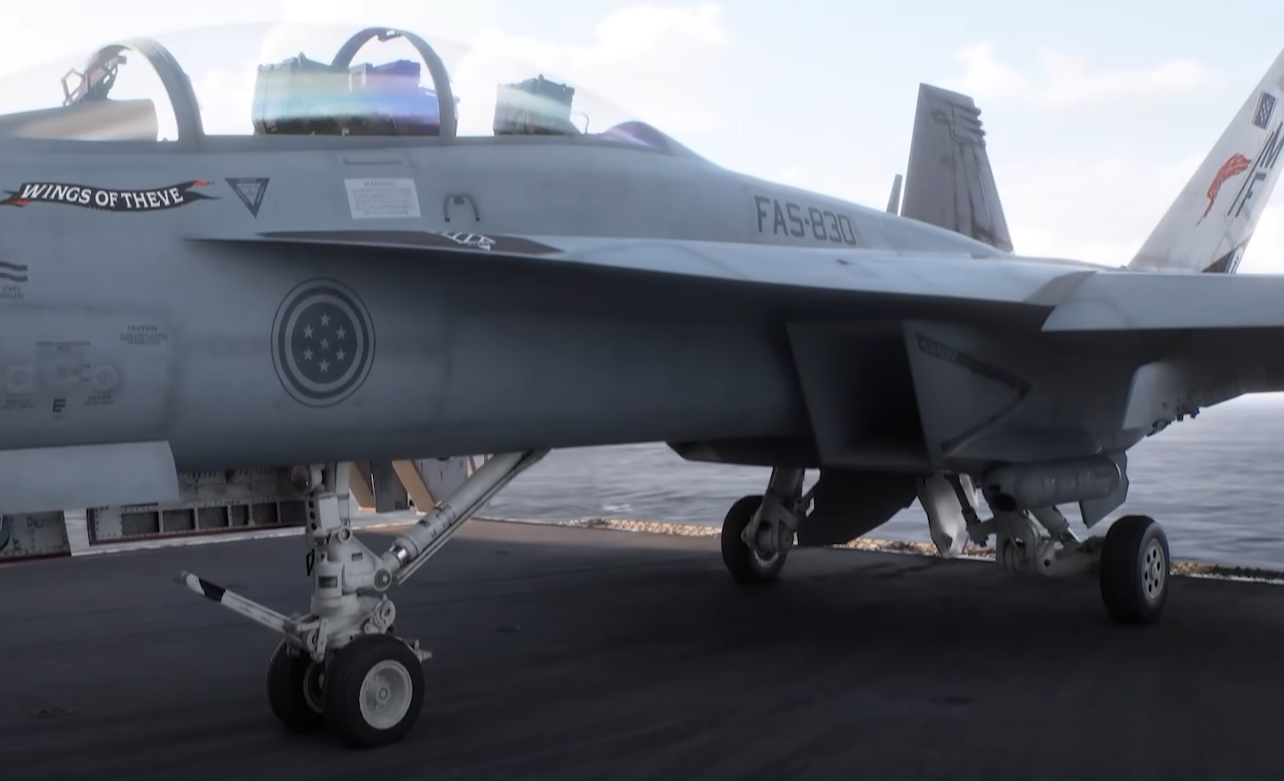 Ace Combat 8 Aircraft Inspection Guide