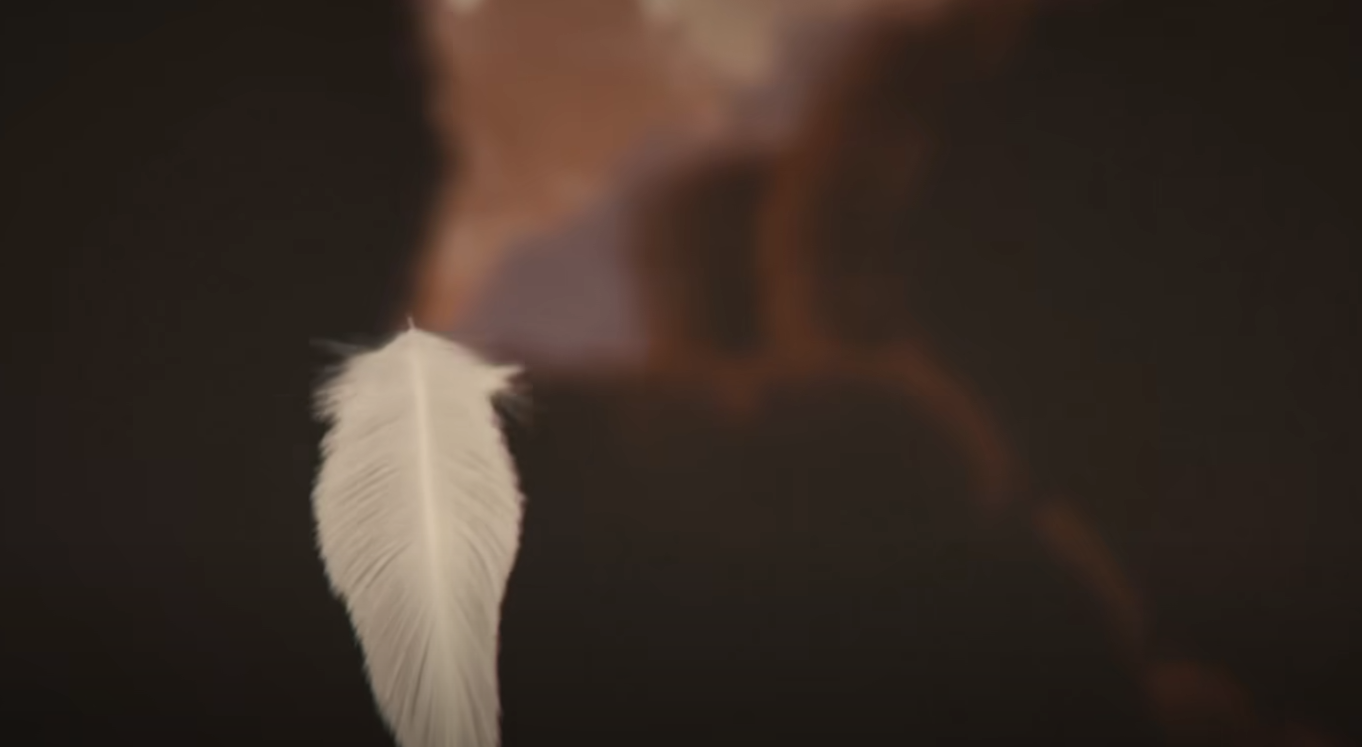 AION 2 What to Do With Extra Feathers