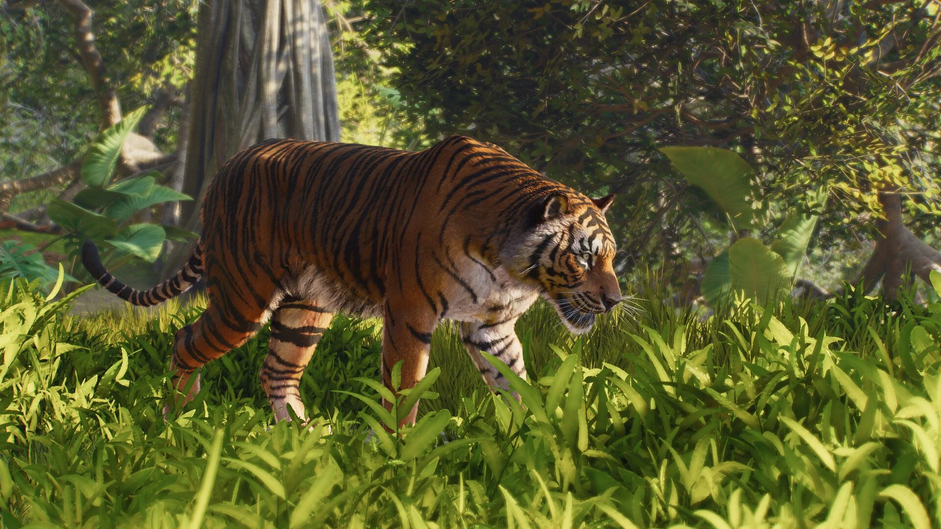 Planet Zoo 2 Accreditation Guide