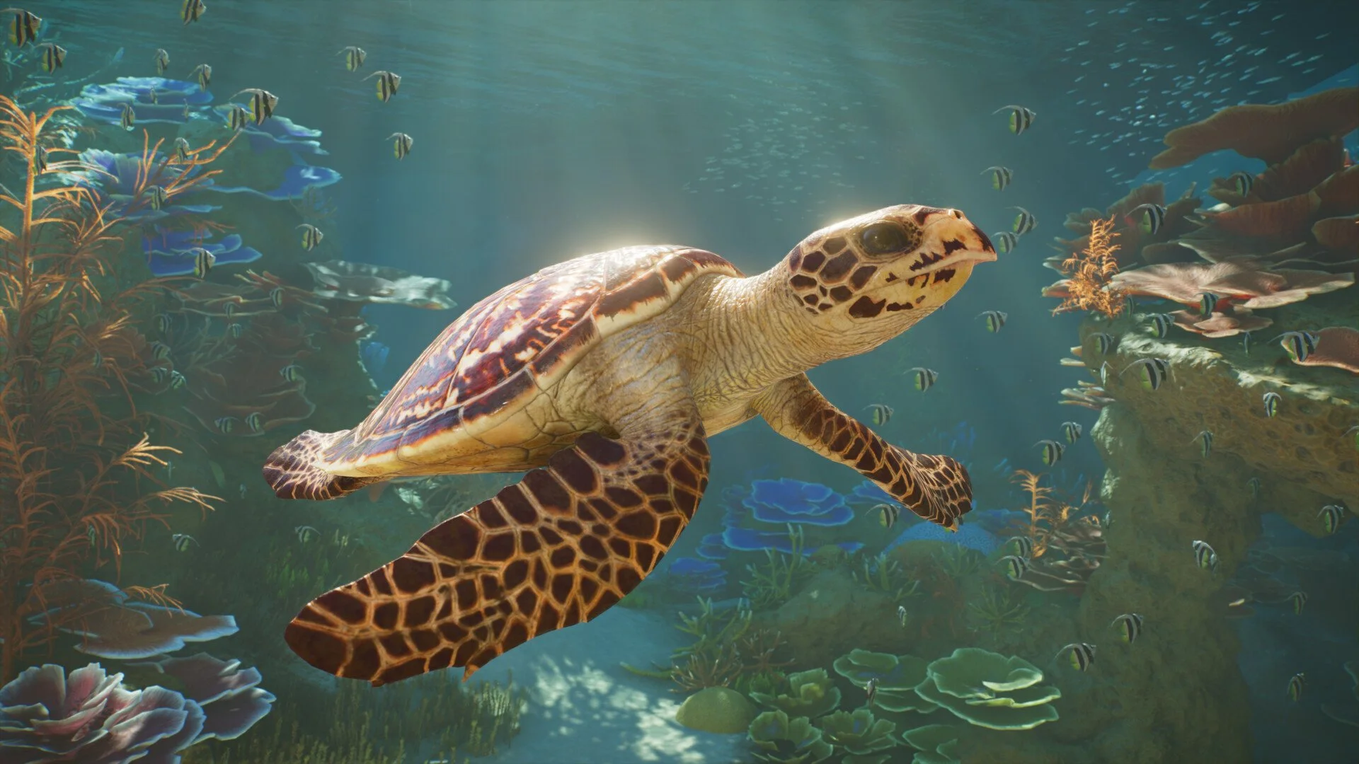 Planet Zoo 2 How to Change Water Salinity
