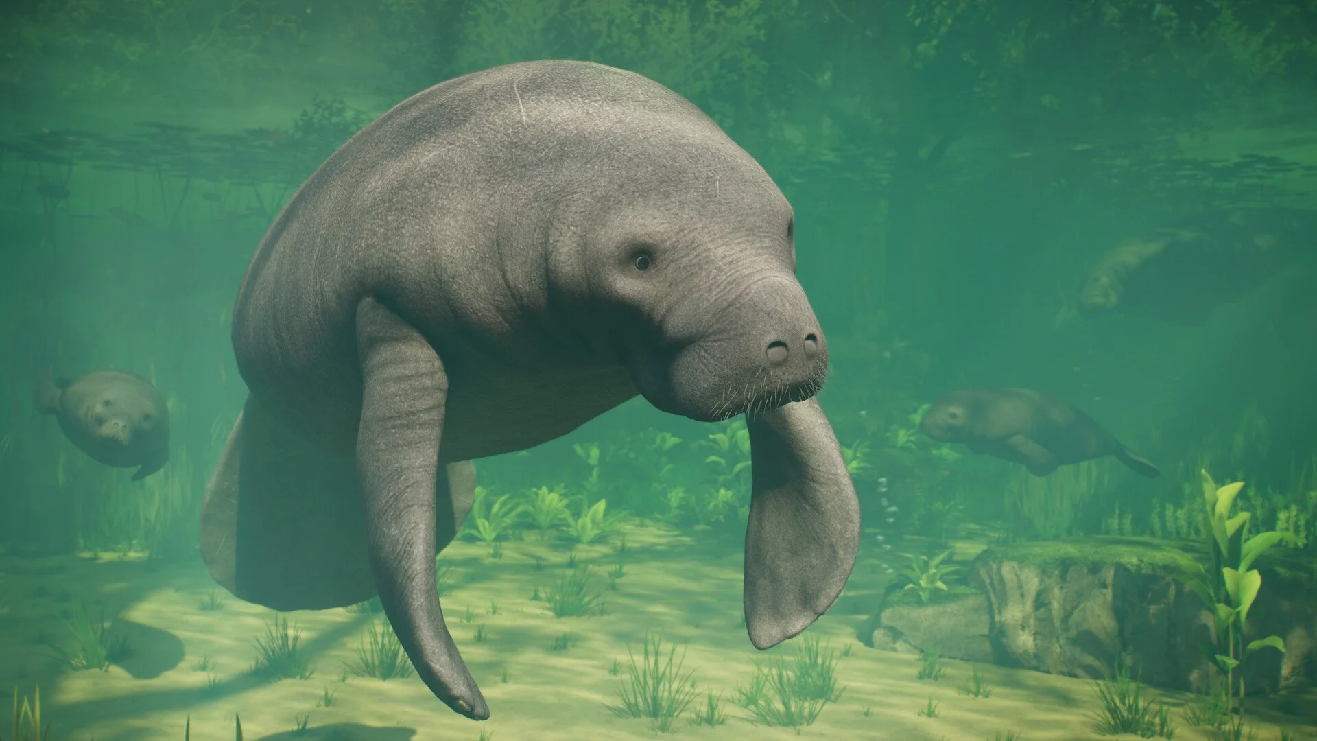 Planet Zoo 2 All Animals List