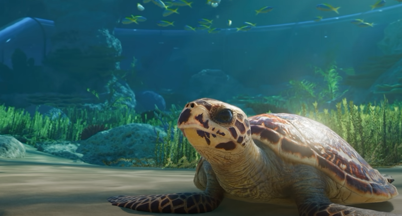 Planet Zoo 2 Best Starter Animals