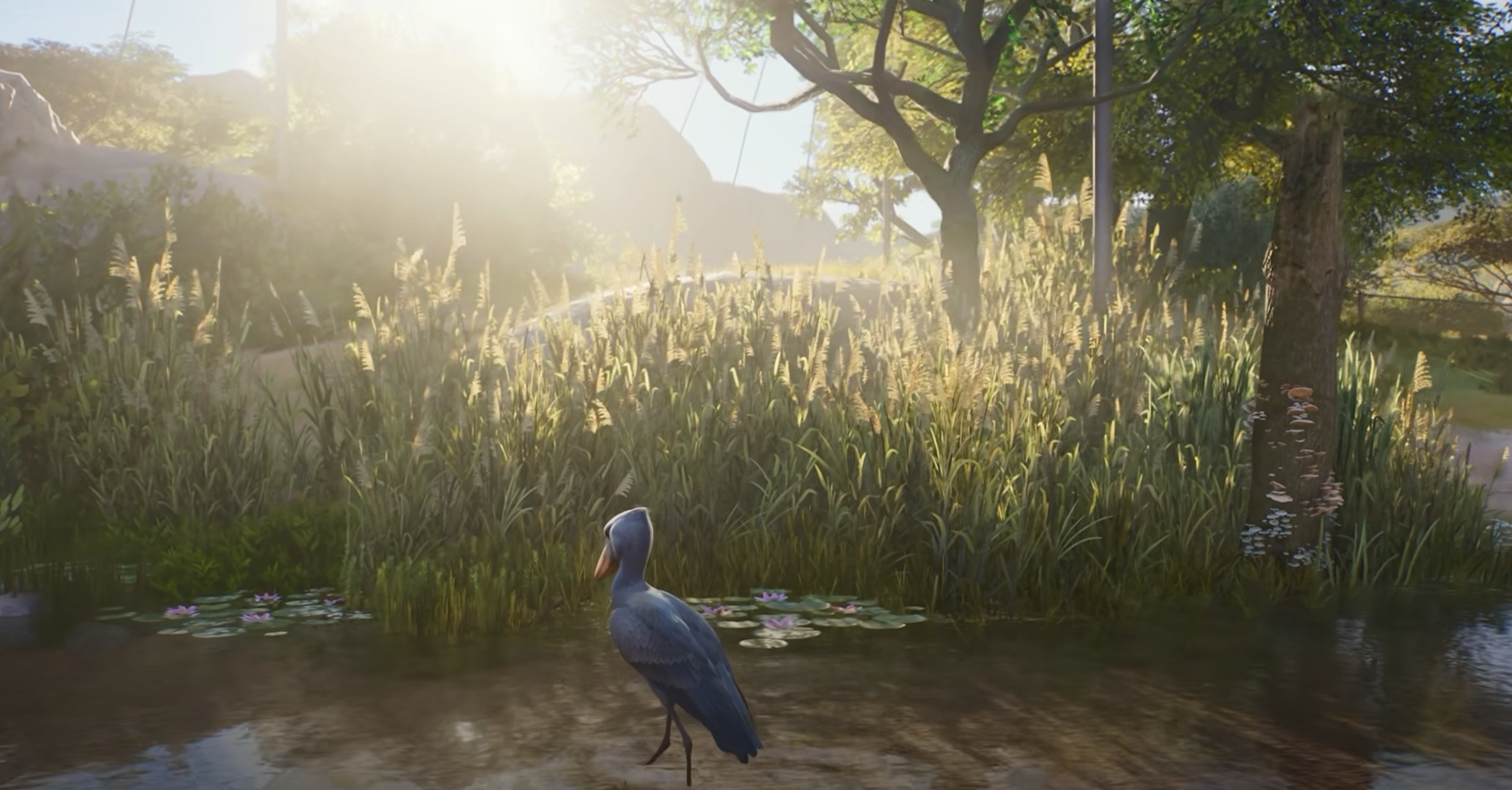 Planet Zoo 2 Waterlogged Terrain Guide